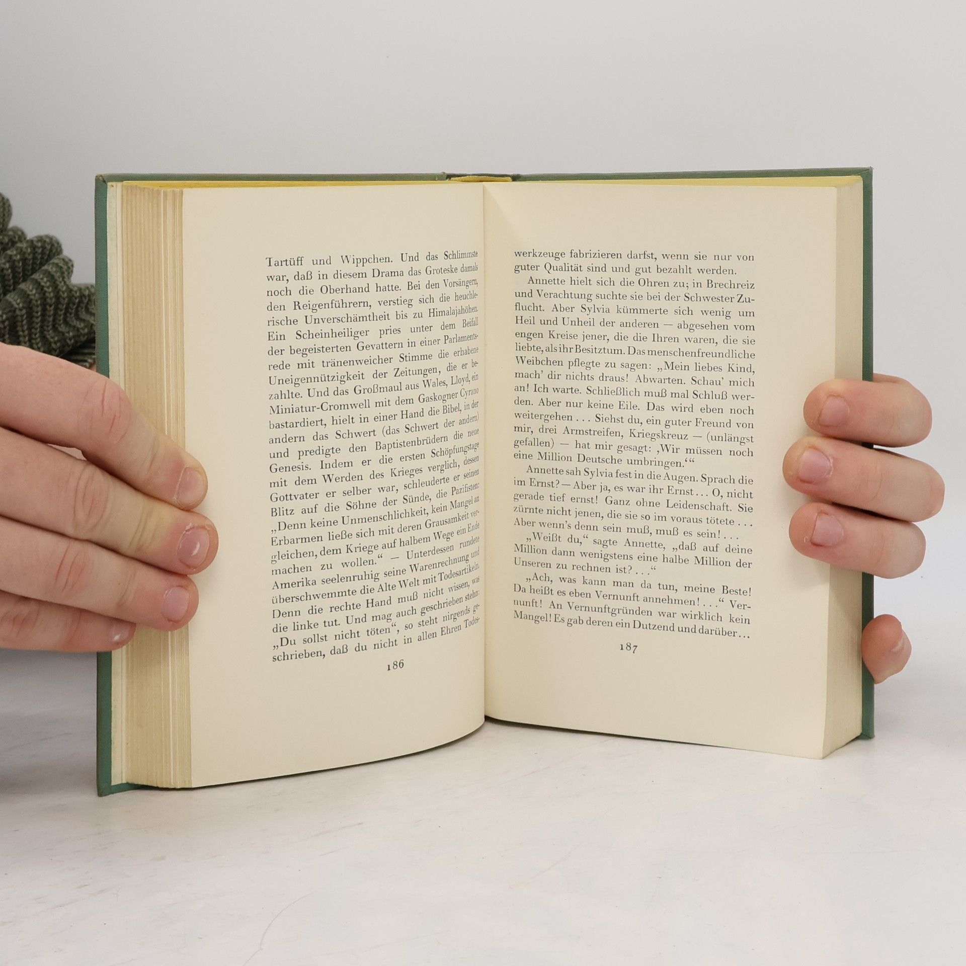 Romain Rolland Mutter und Sohn