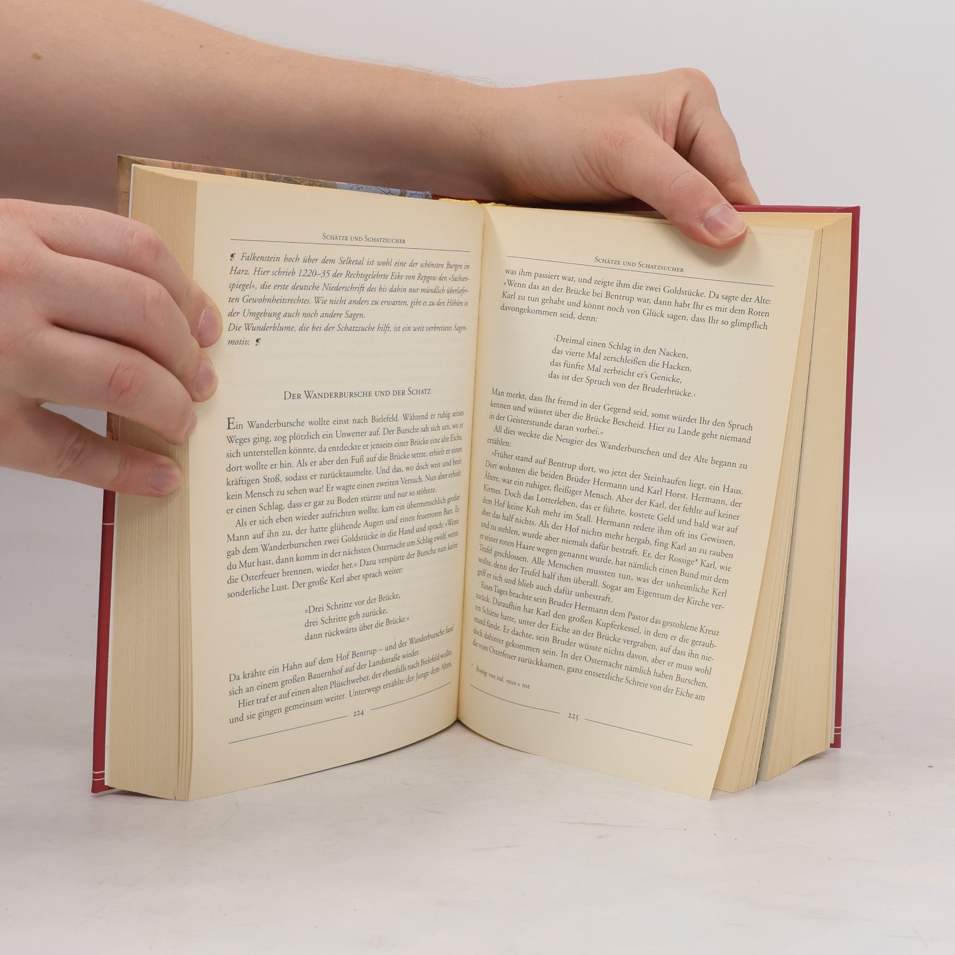Heinrich Pleticha Das grosse Sagenbuch
