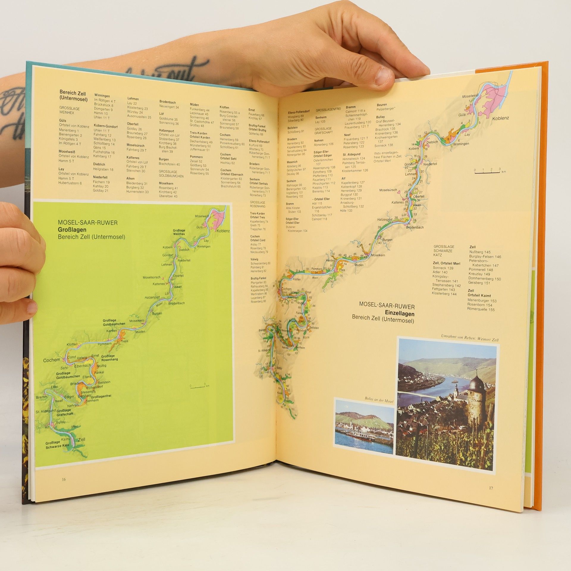 AA.VV. Deutscher Weinatlas