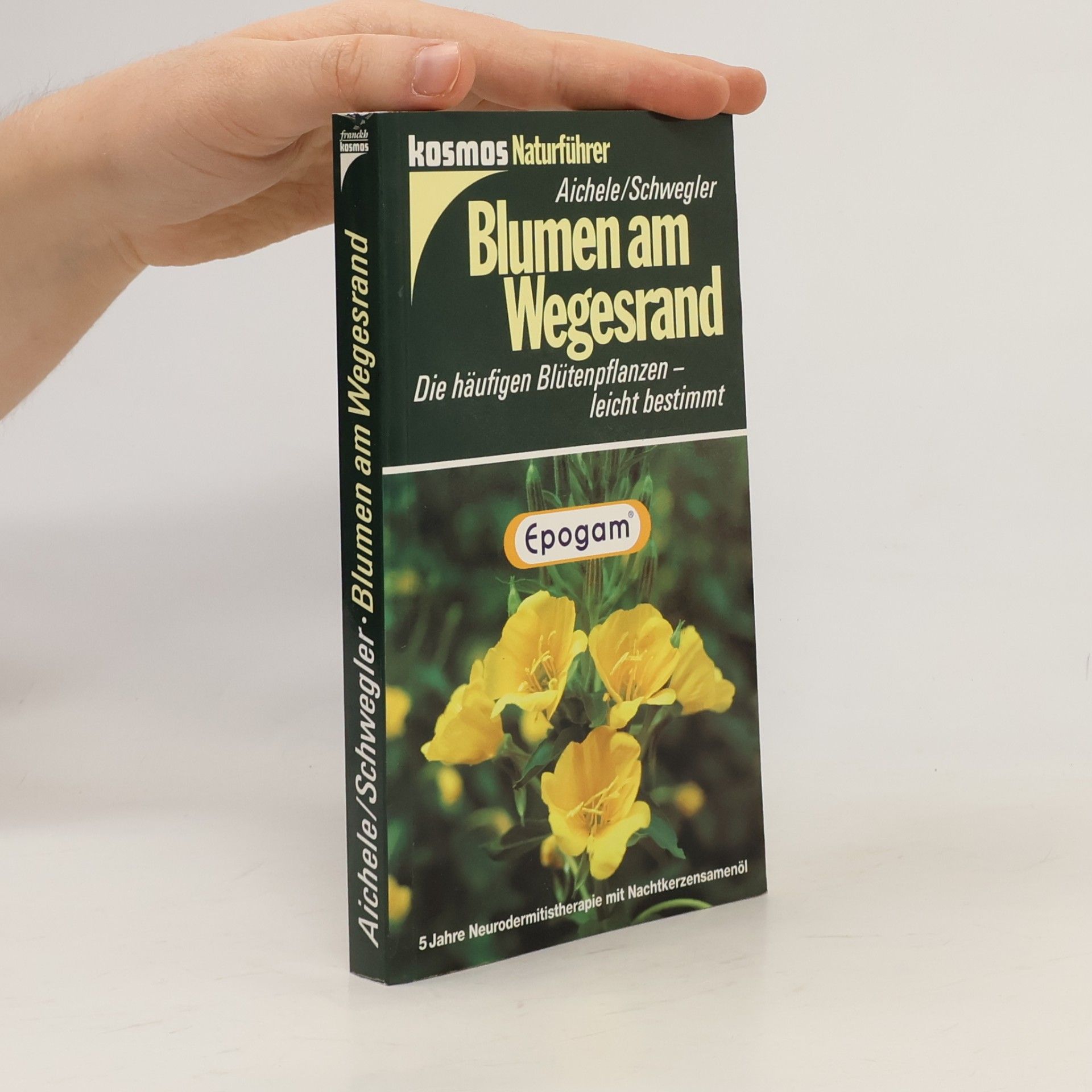 Dietmar Aichele Blumen am Wegesrand