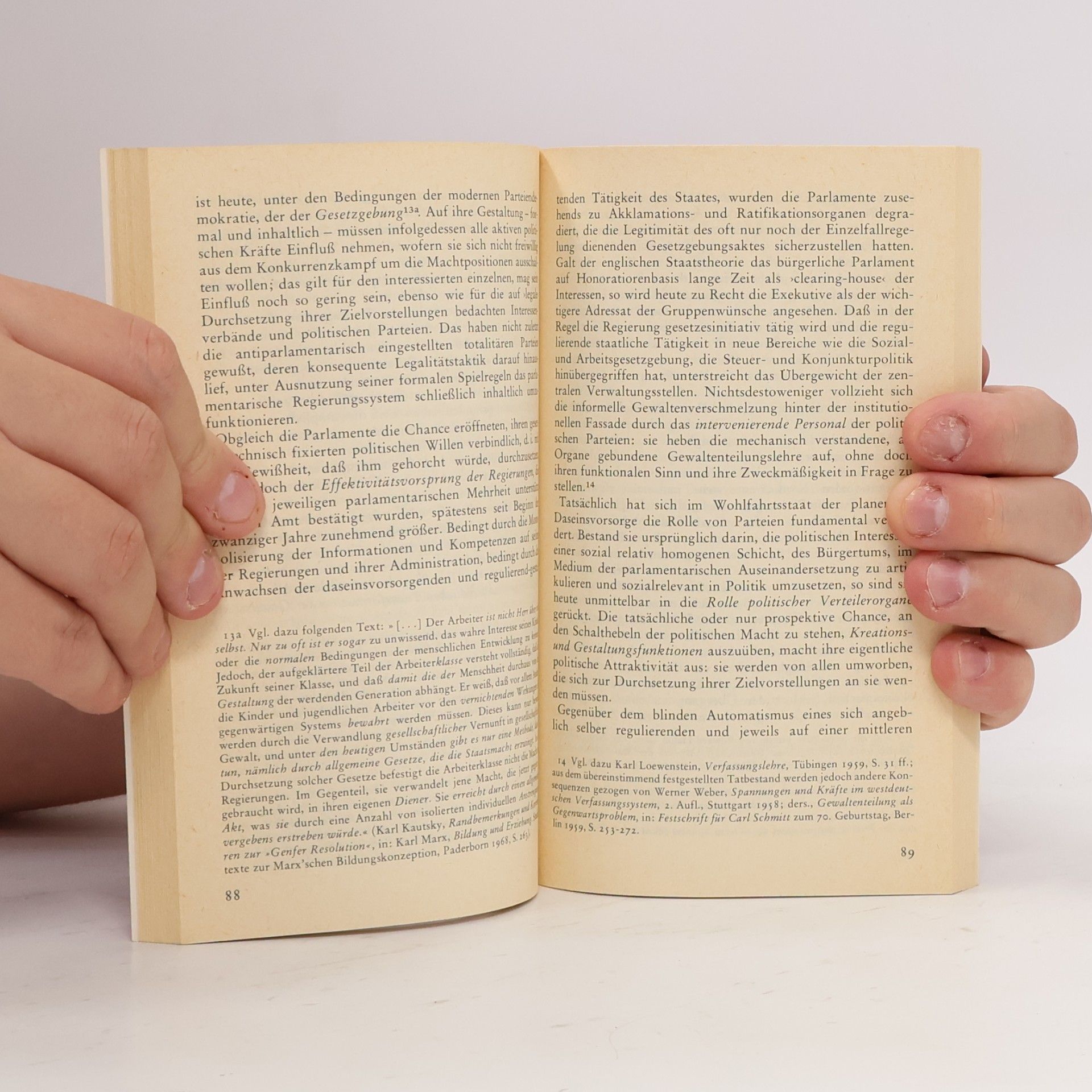 Otwin Massing Edition Suhrkamp - 724: Politische Soziologie