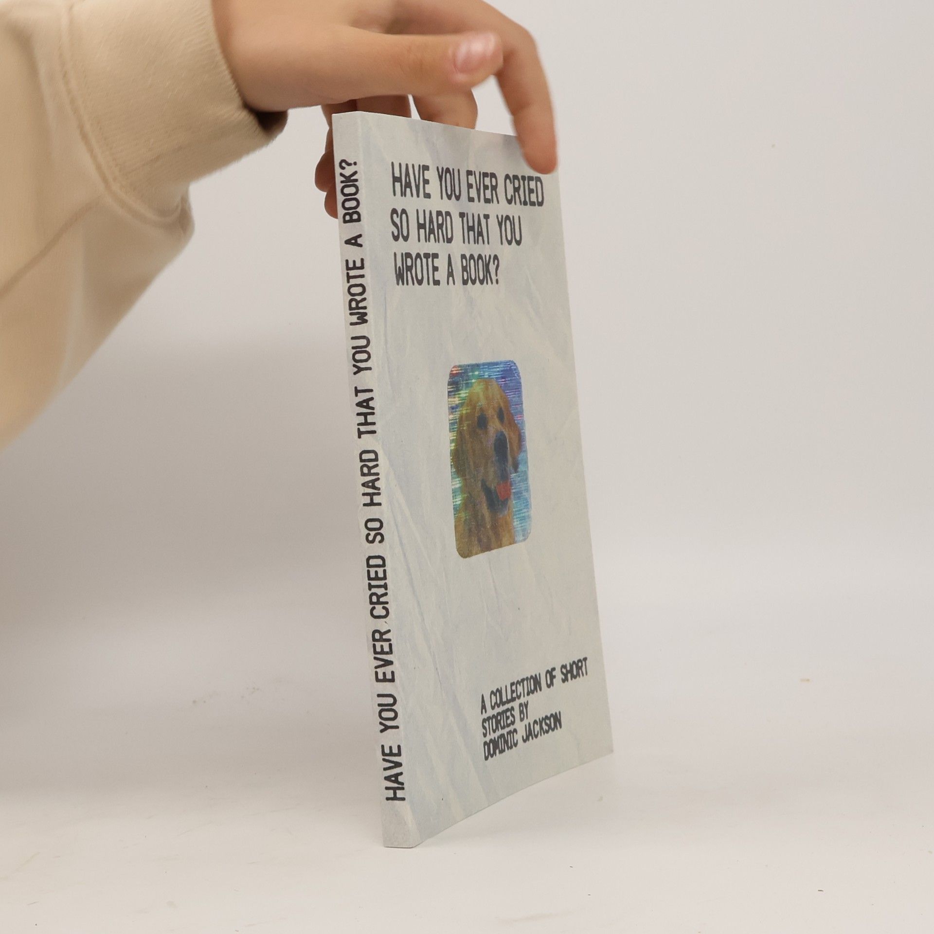 Dominic Jackson Have You Ever Cried So Hard That You Wrote a Book?