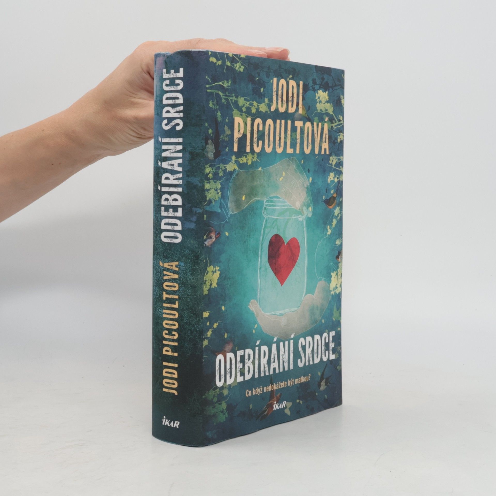 Jodi Picoult Odebírání srdce