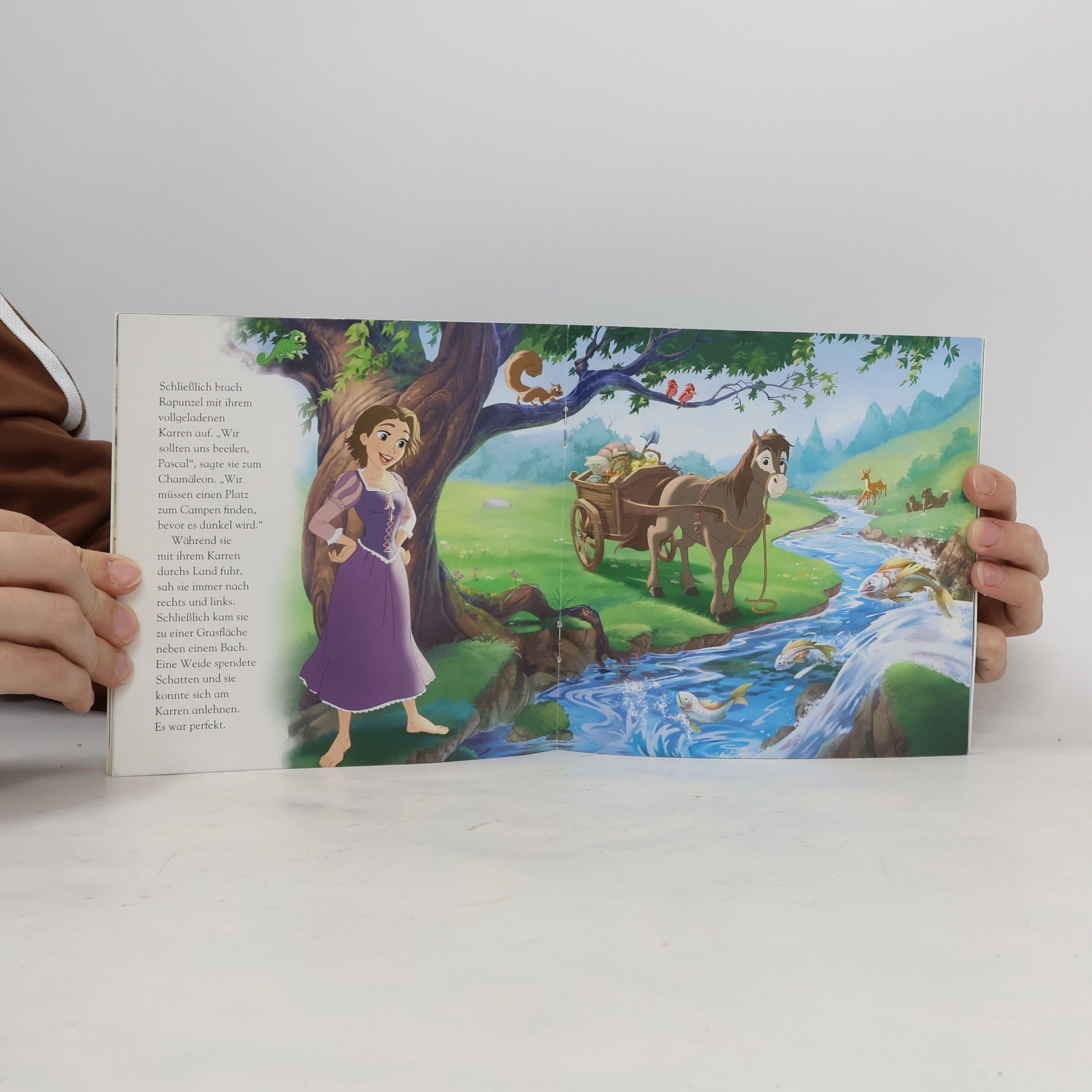 Elisabeth Rudnick Rapunzel neu verföhnt - Rapunzels Camping-Ausflug