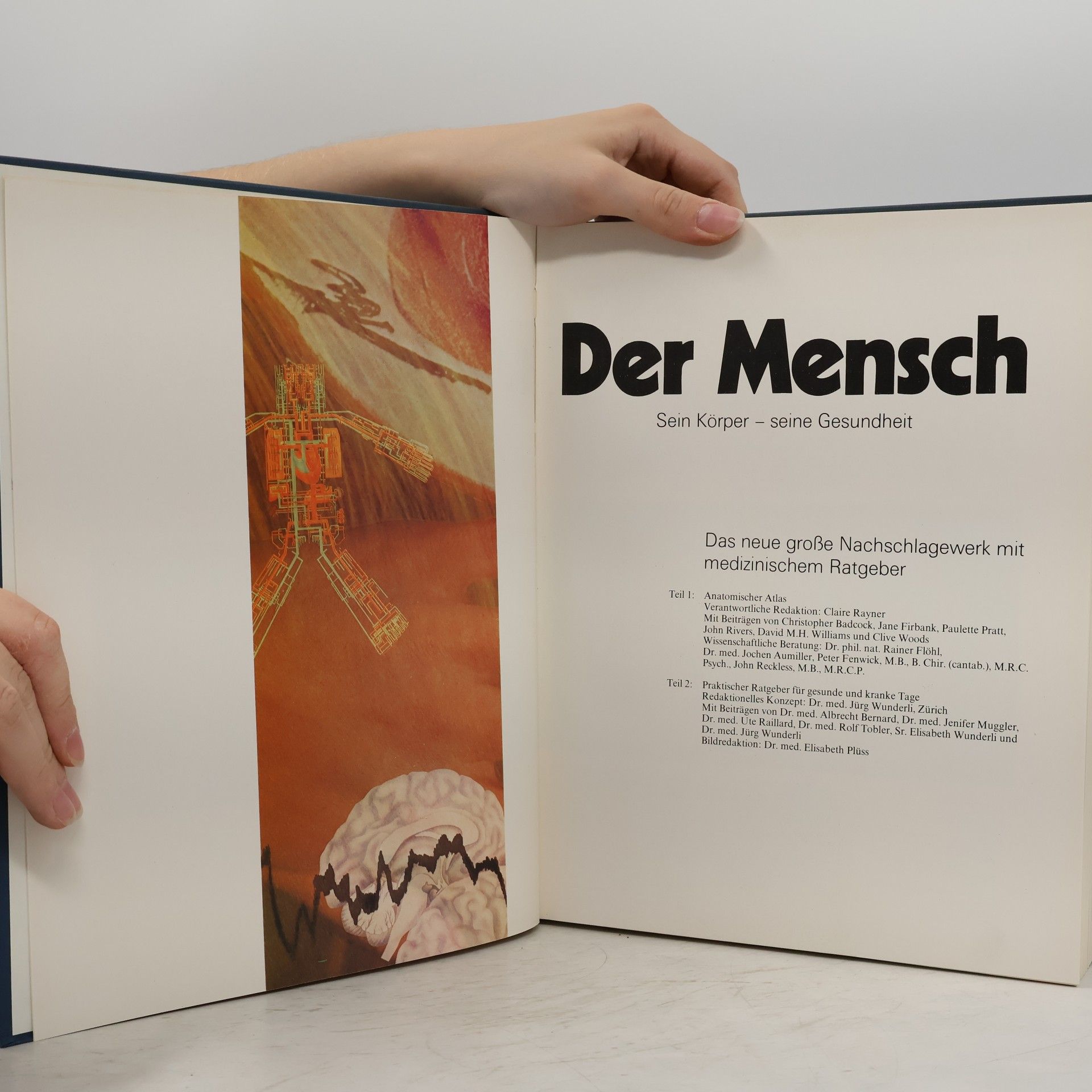 kolektiv Der Mensch