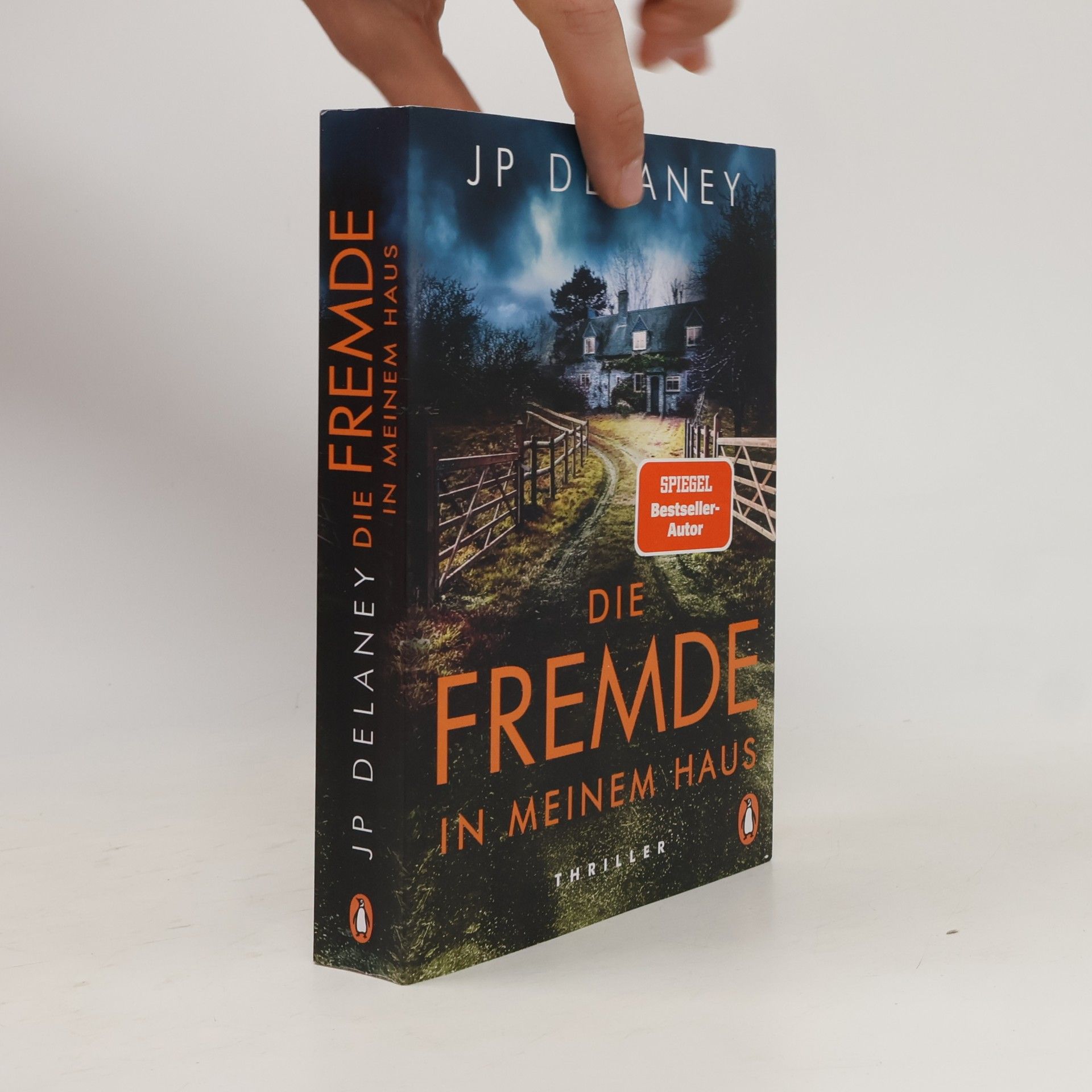 Die Fremde in meinem Haus