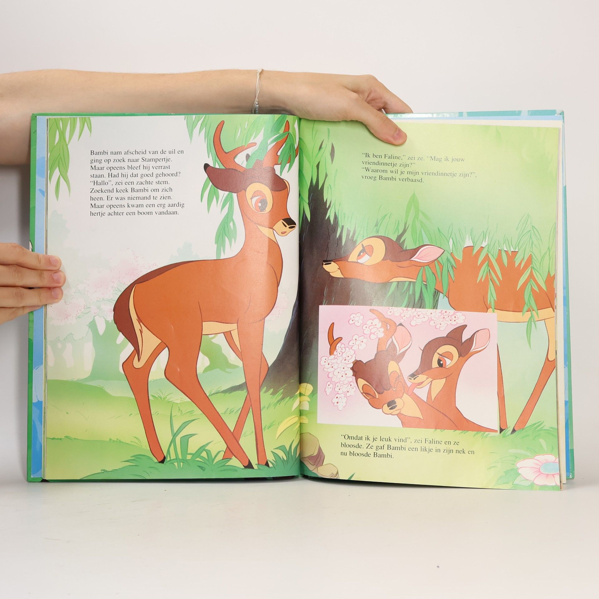 Wondere wereld van bambi