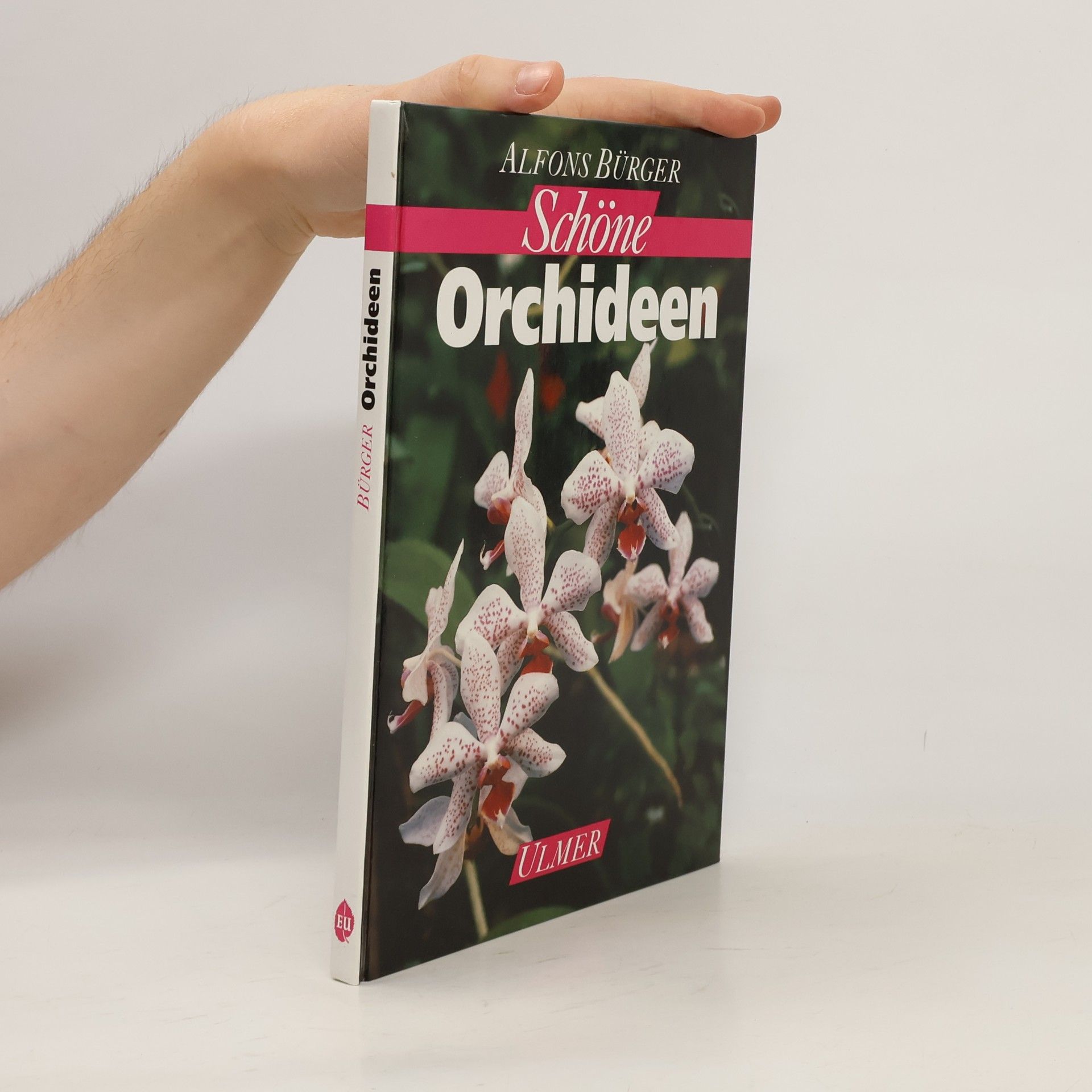 Schöne Orchideen