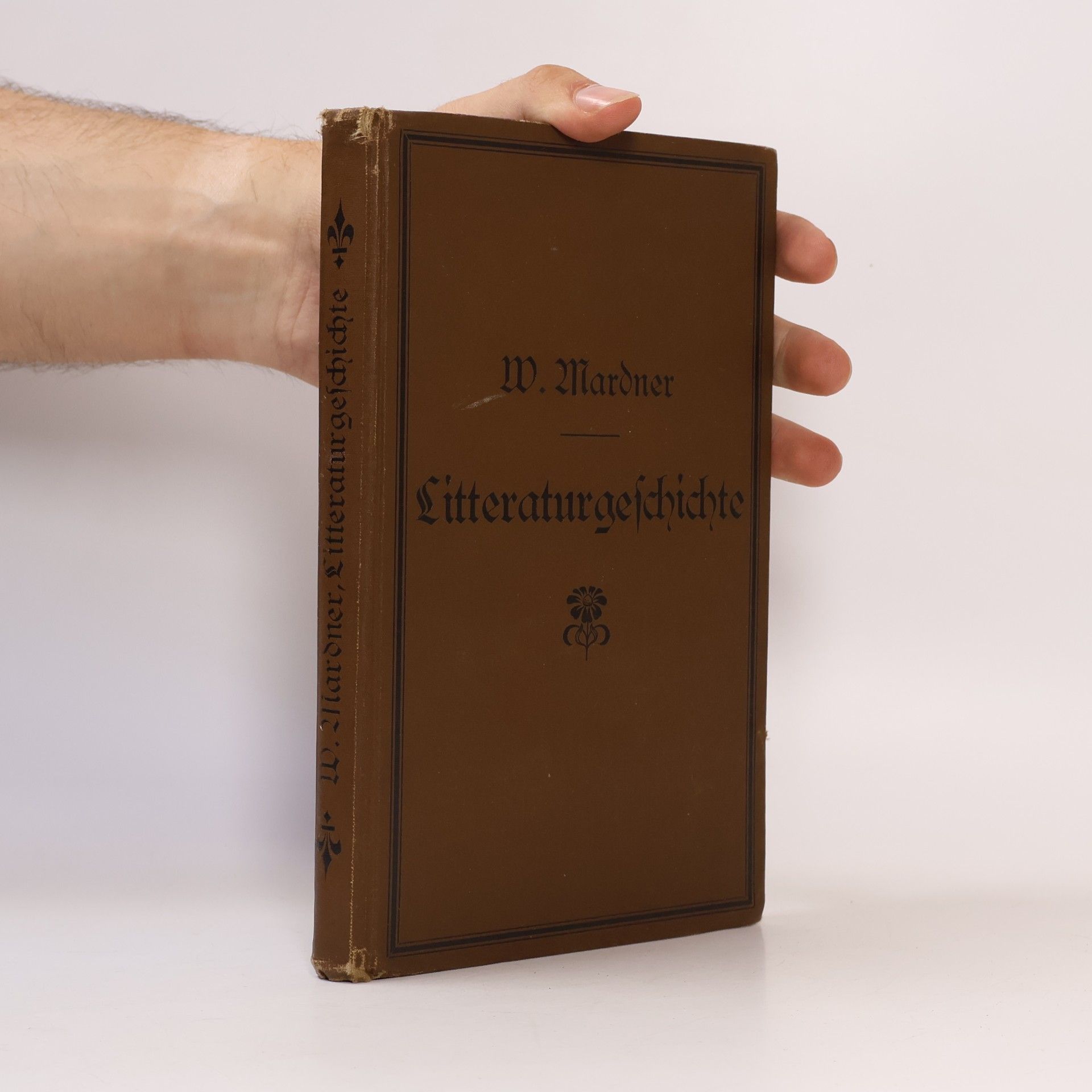  Litteraturgeschichte