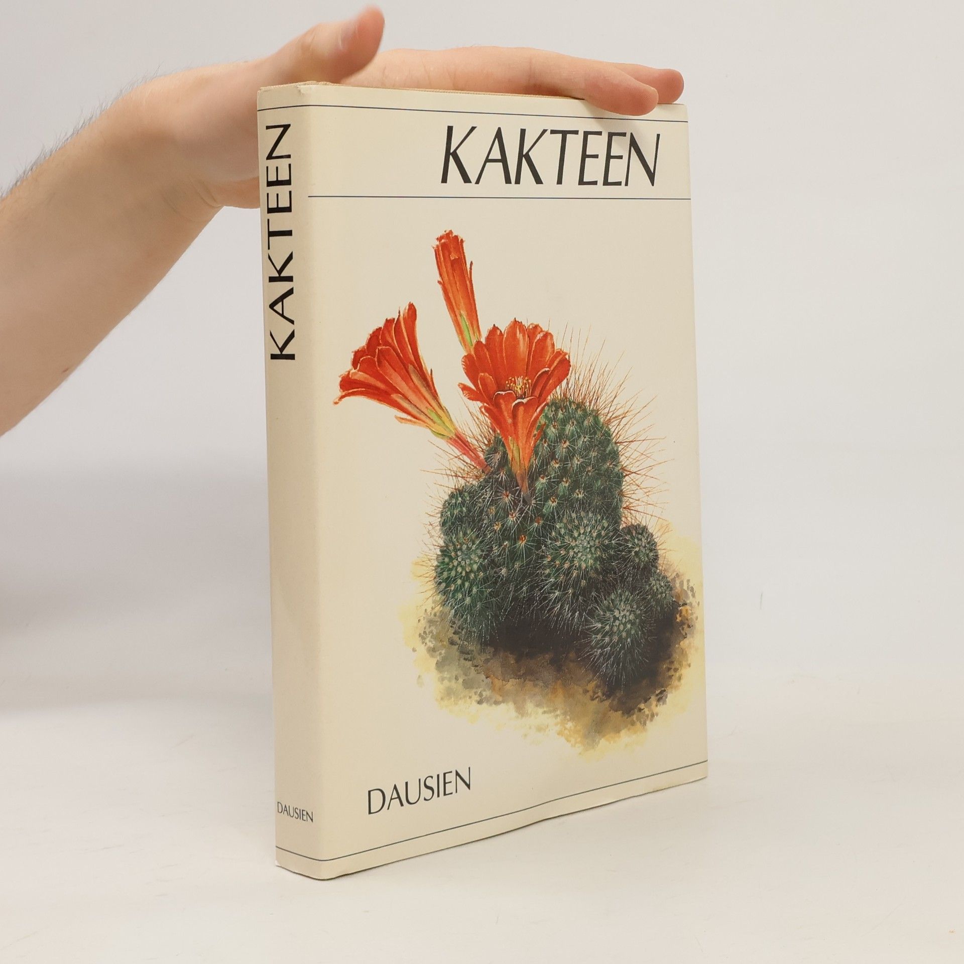 Kakteen