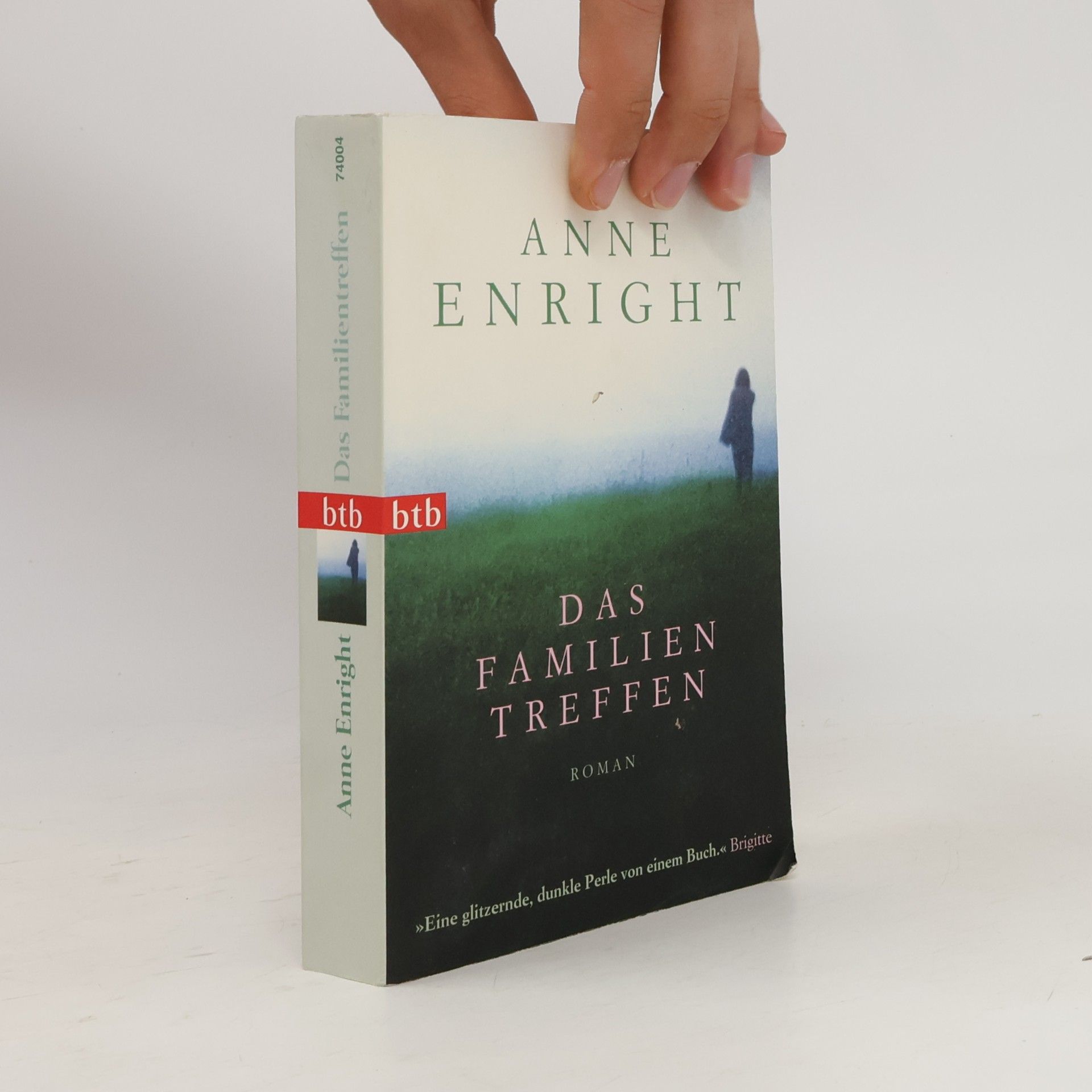 Anne Enright Das Familien Treffen