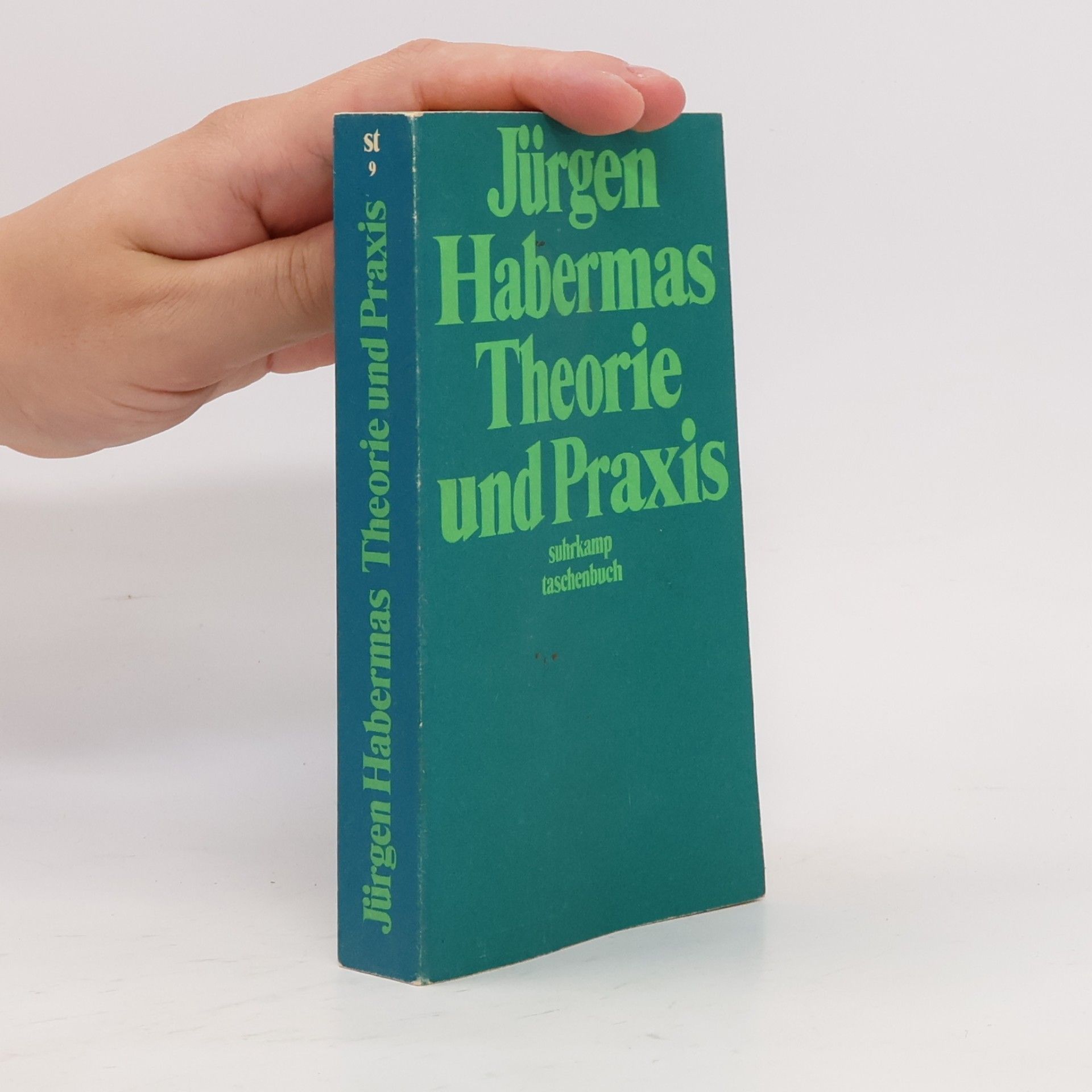 Jürgen Habermas Theorie und Praxis