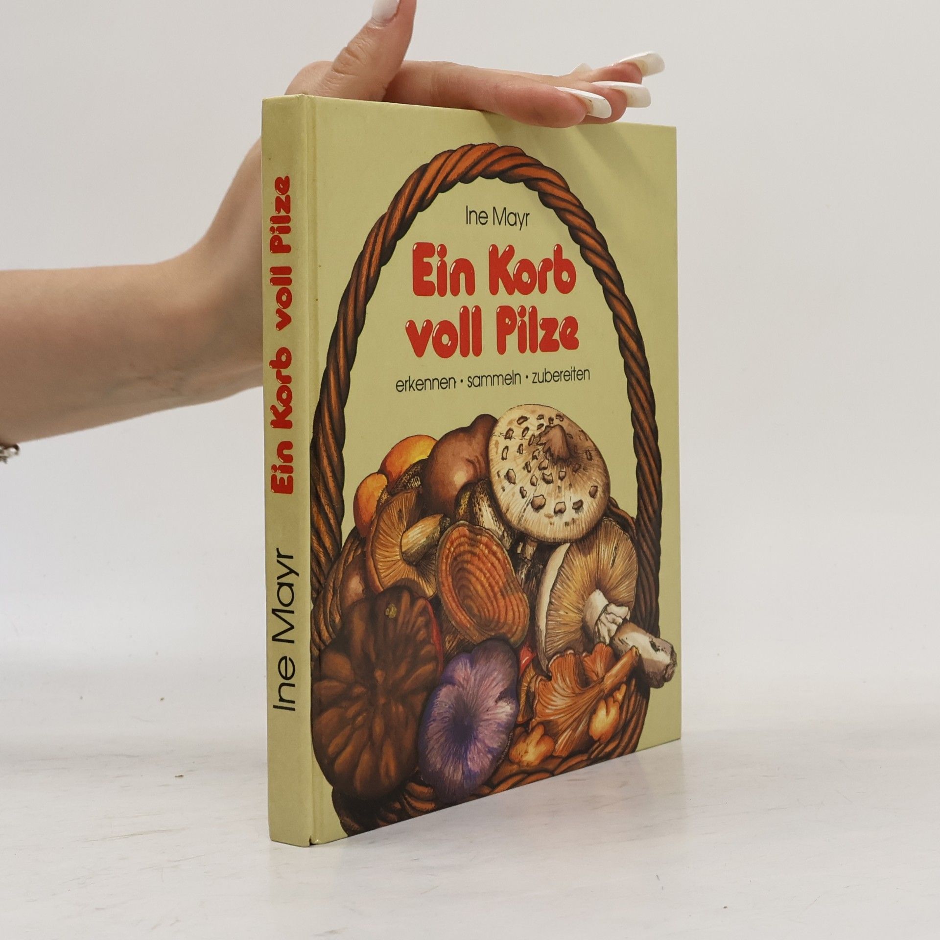 Ine Mayr Ein Korb voll Pilze