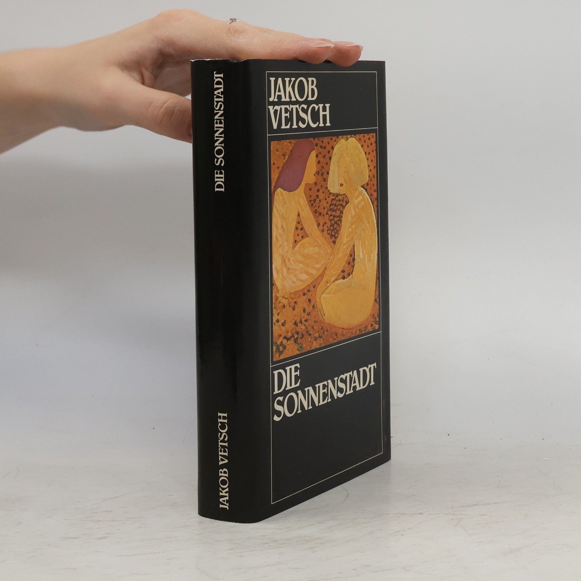 Jakob Vetsch Die Sonnenstadt