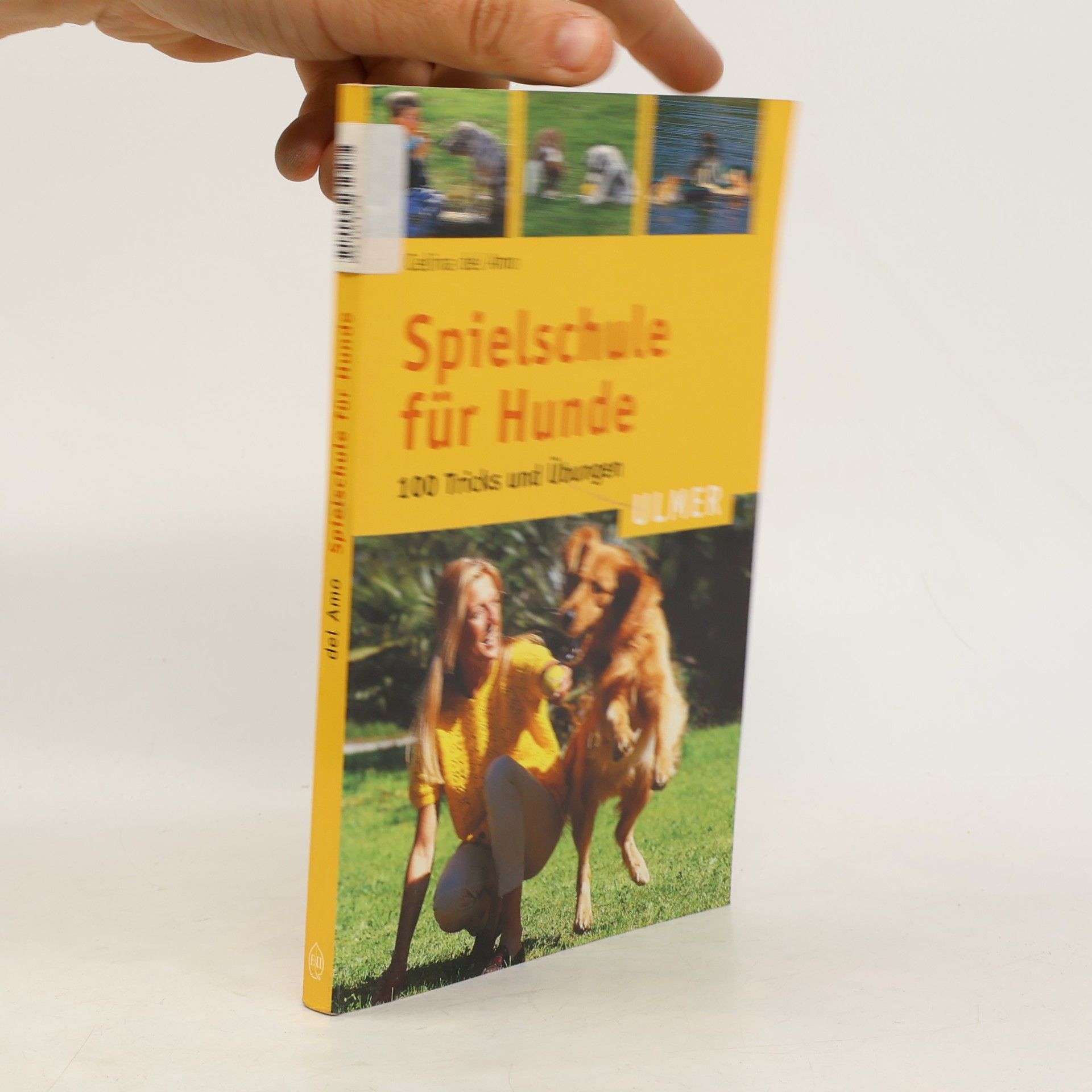 Spielschule für Hunde