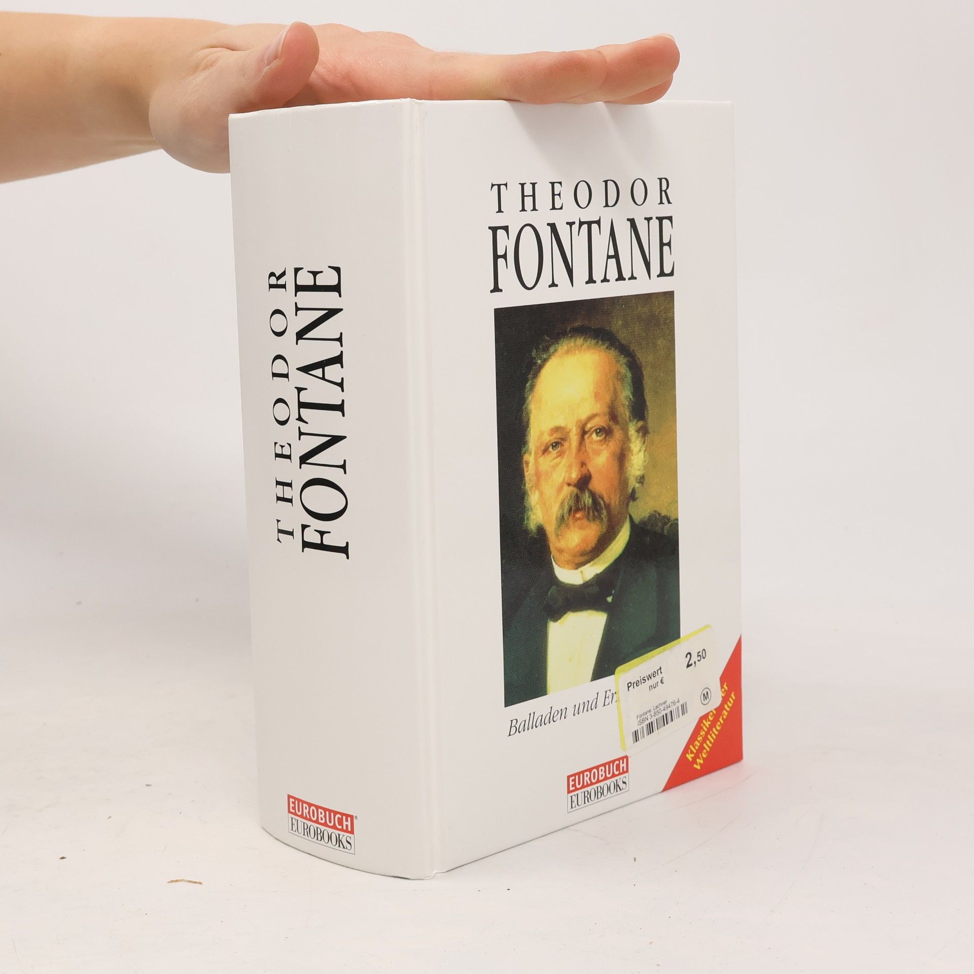 Theodor Fontane. Balladen und Erzählungen