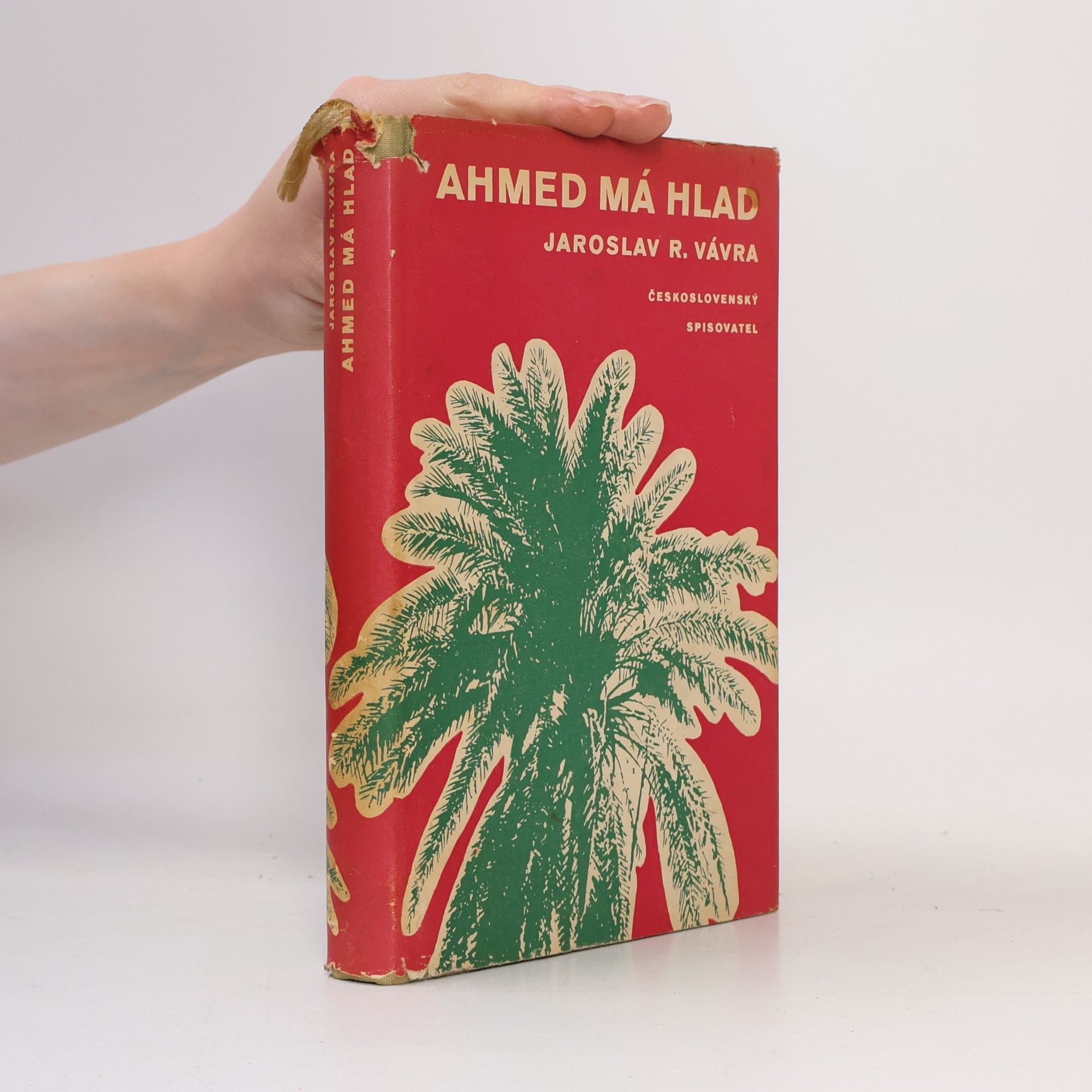Ahmed má hlad. Hrdinský epos