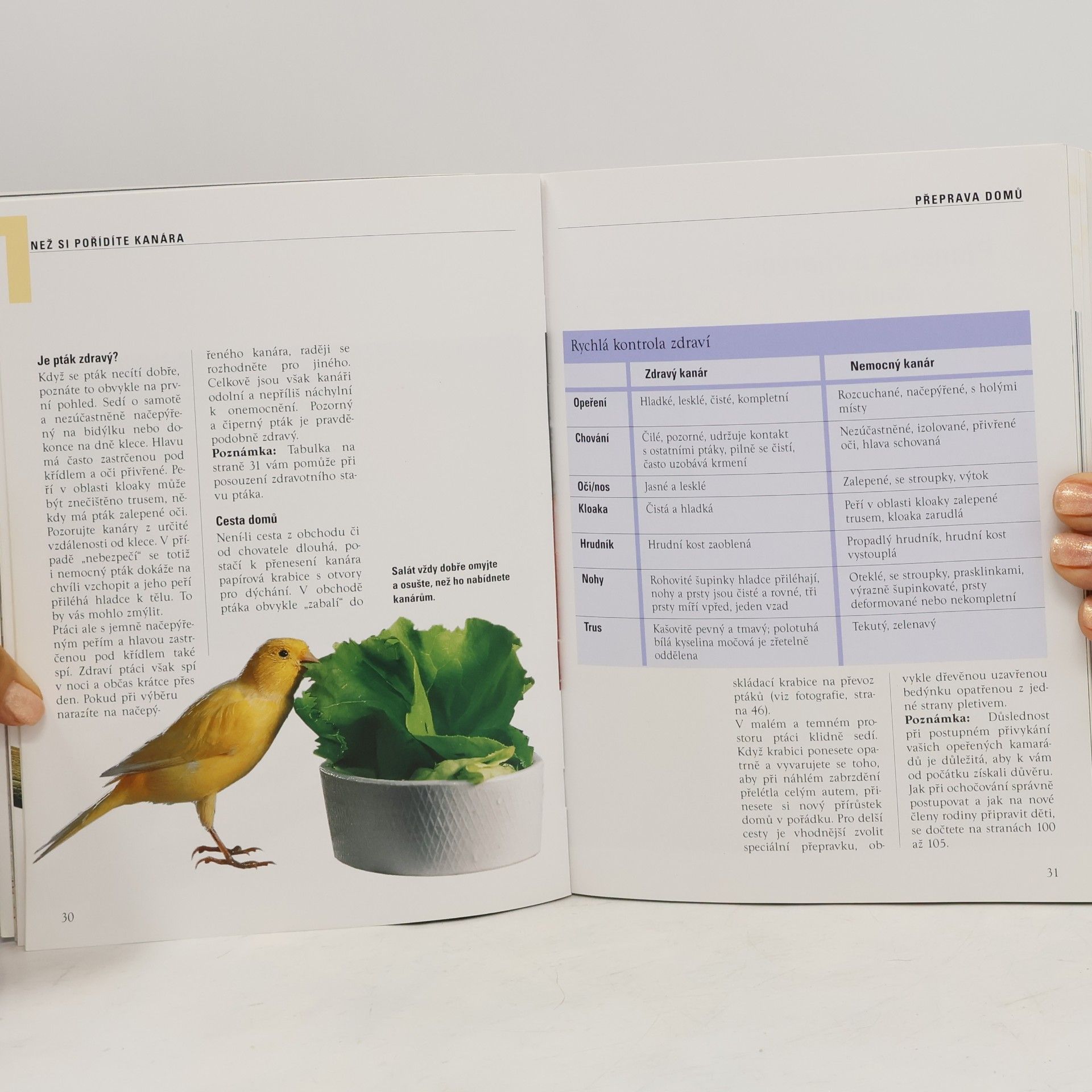 Sigrun Rittrich Dorenkamp Náš kanár: Vhodná péče, zdravé krmení, správné porozumění