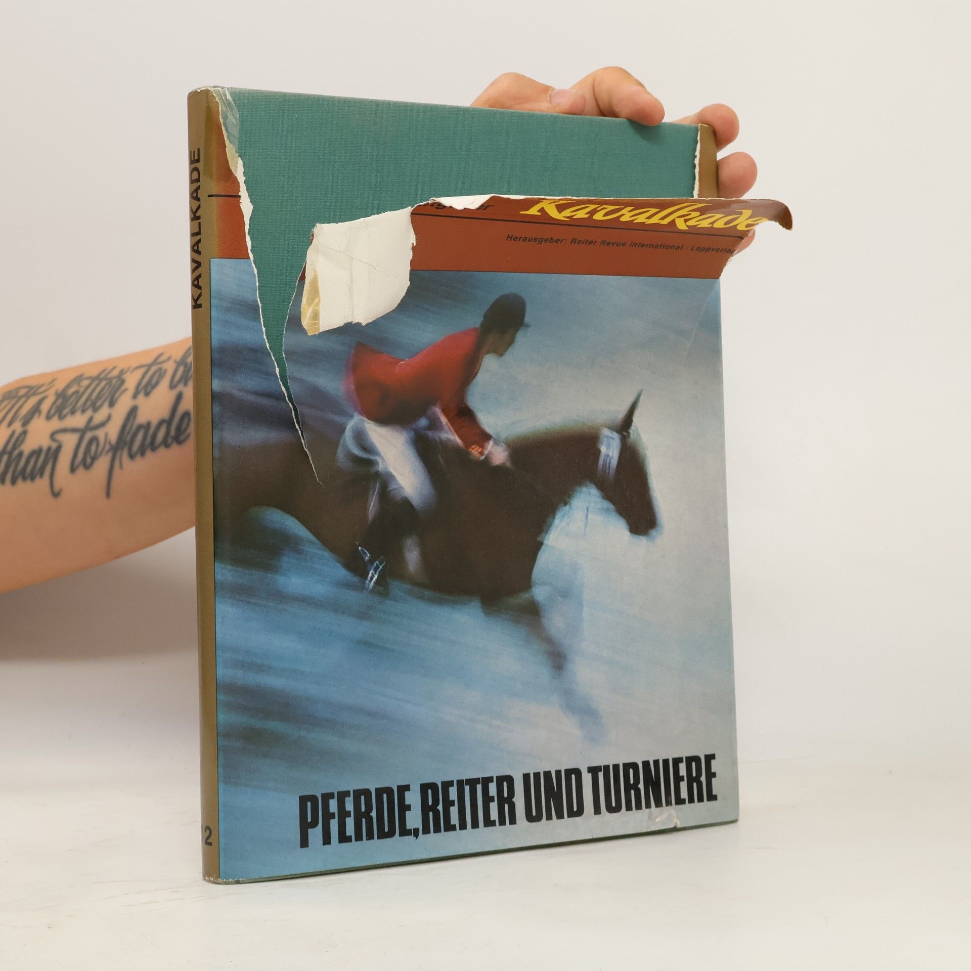 kolektiv Pferde, reiter und turniere