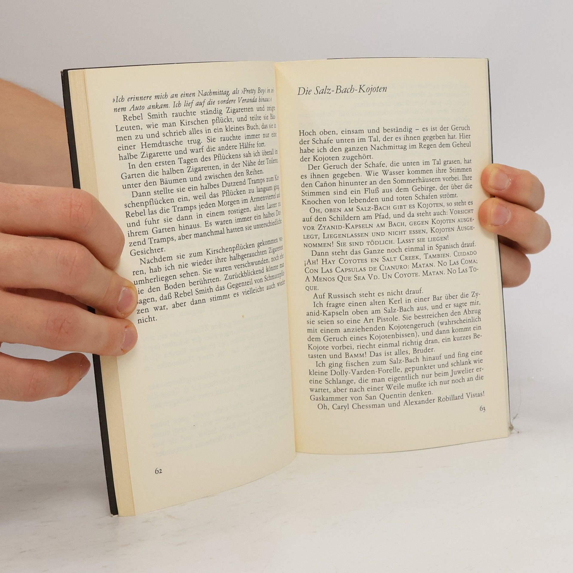 Richard Brautigan Forellenfischen in Amerika