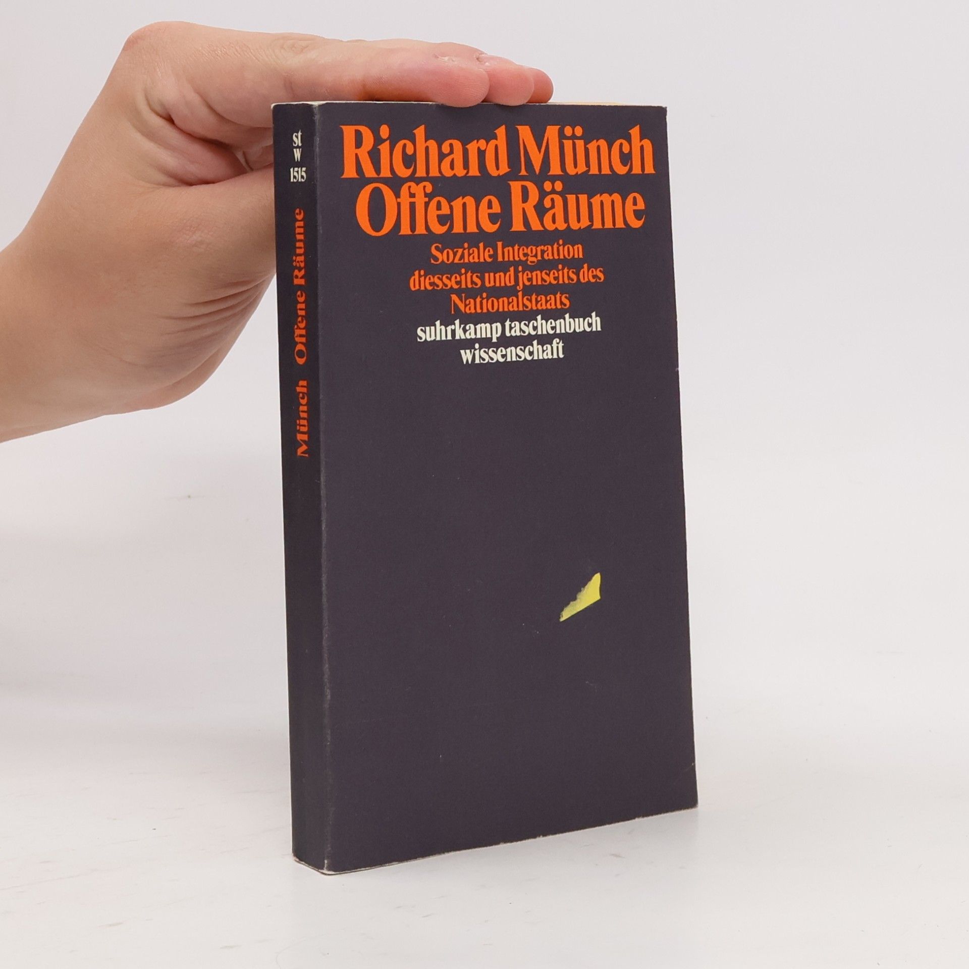 Richard Münch Suhrkamp Taschenbuch Wissenschaft - 1515: Offene Räume