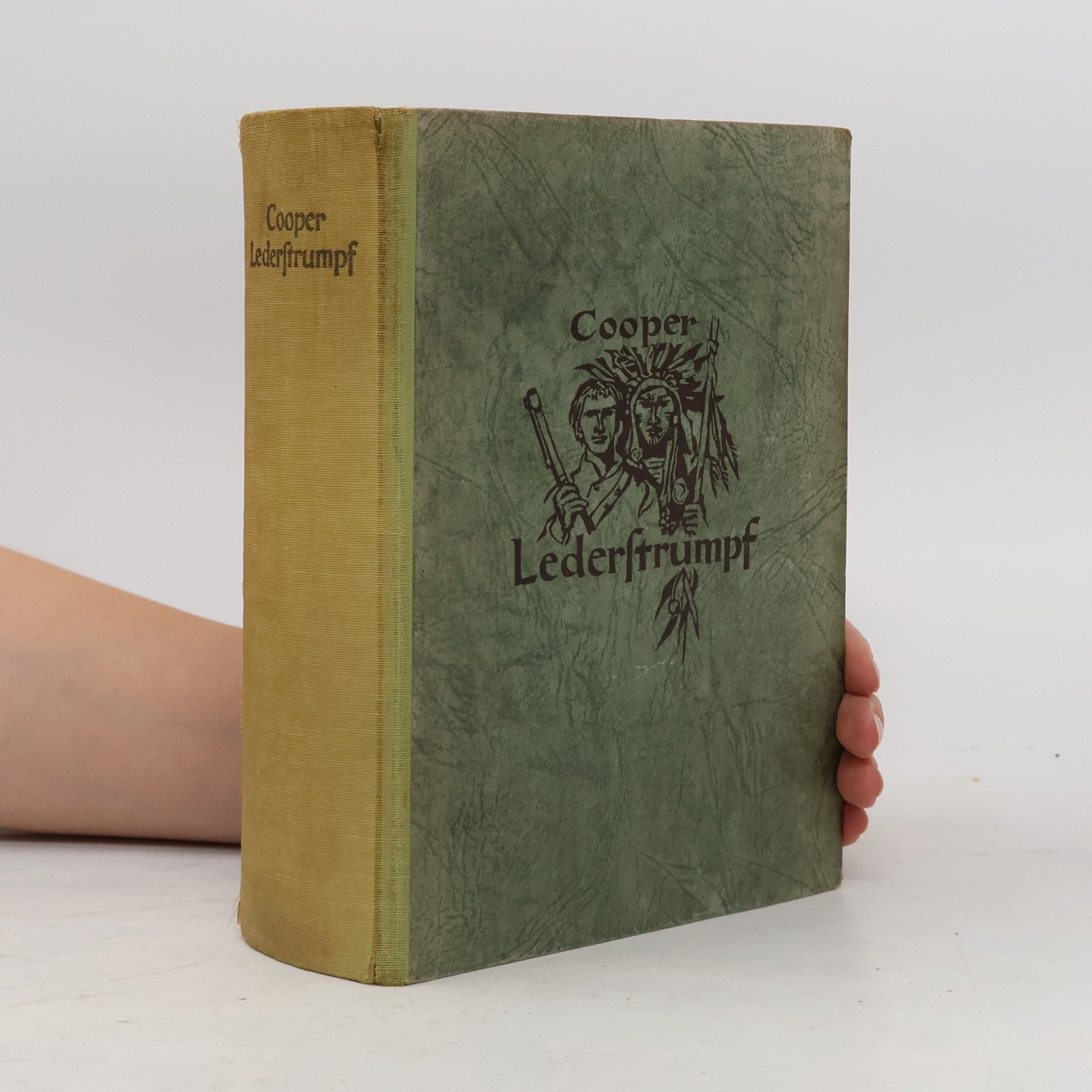 James Fenimore Cooper Lederstrumpf