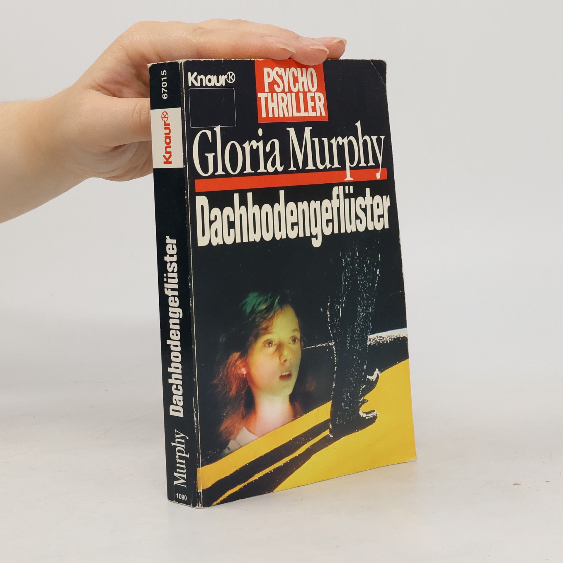 Dachbodengeflüster. Psychothriller