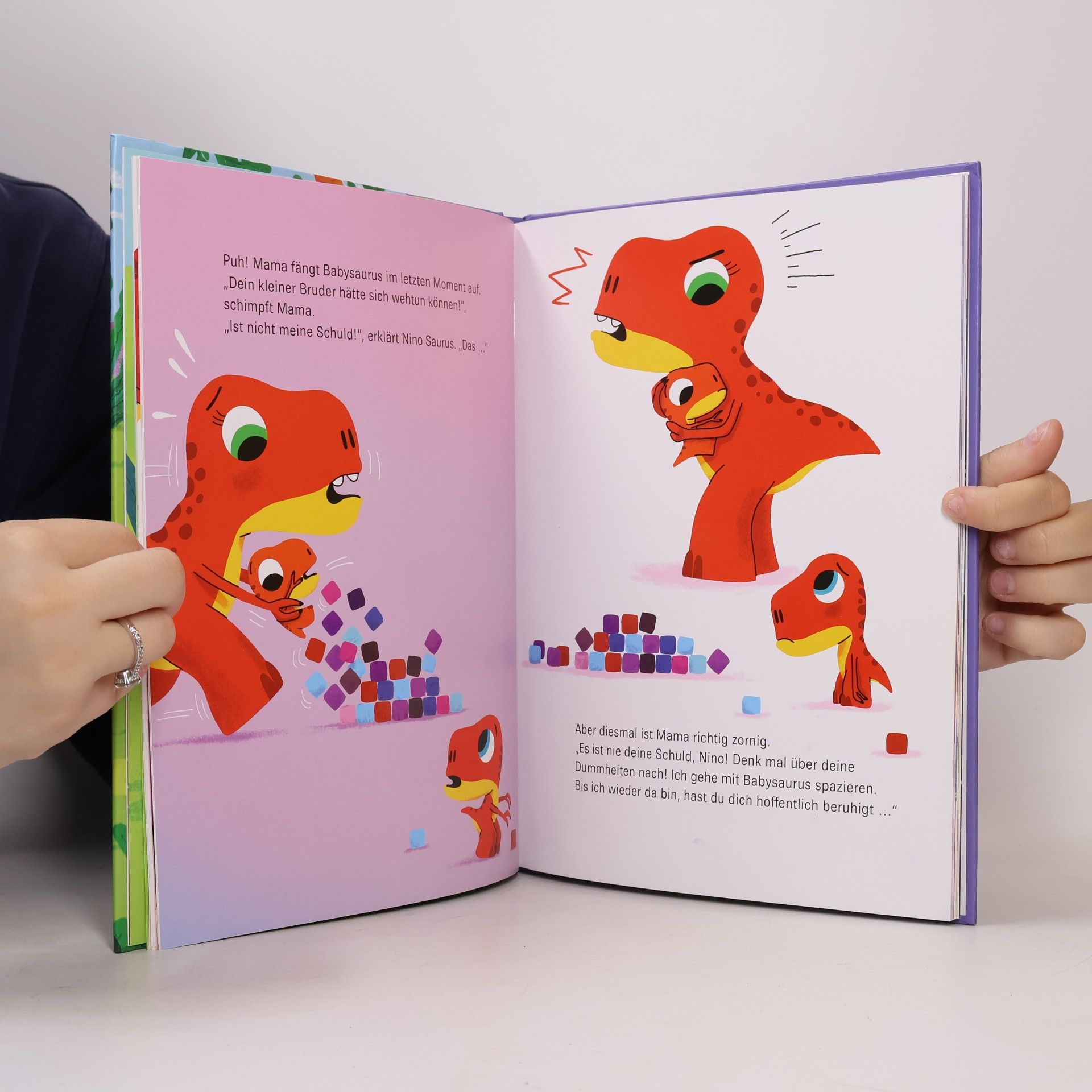 Thierry Bedouet Geschichten von Nino Saurus