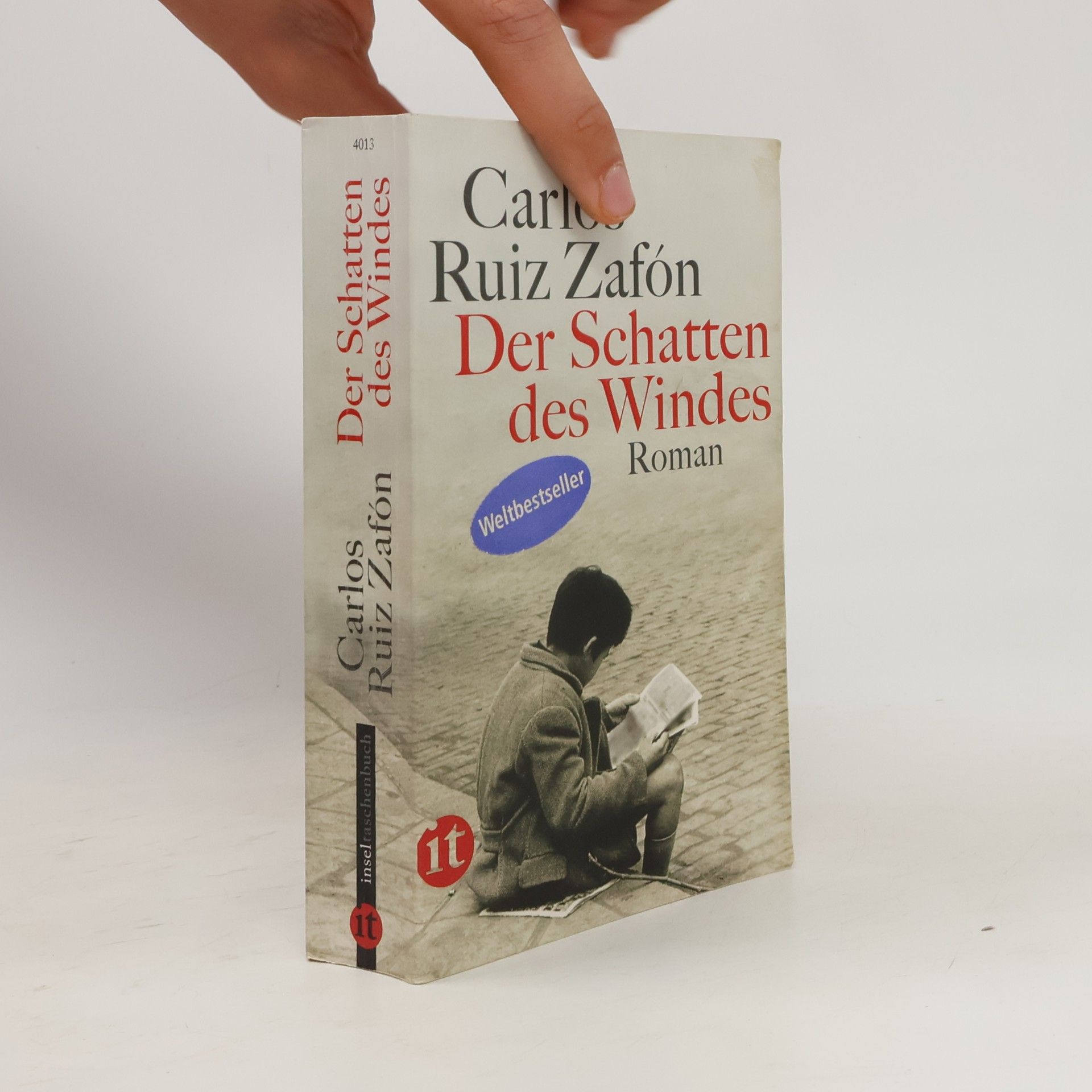 Carlos Ruiz Zafón Der Schatten des Windes