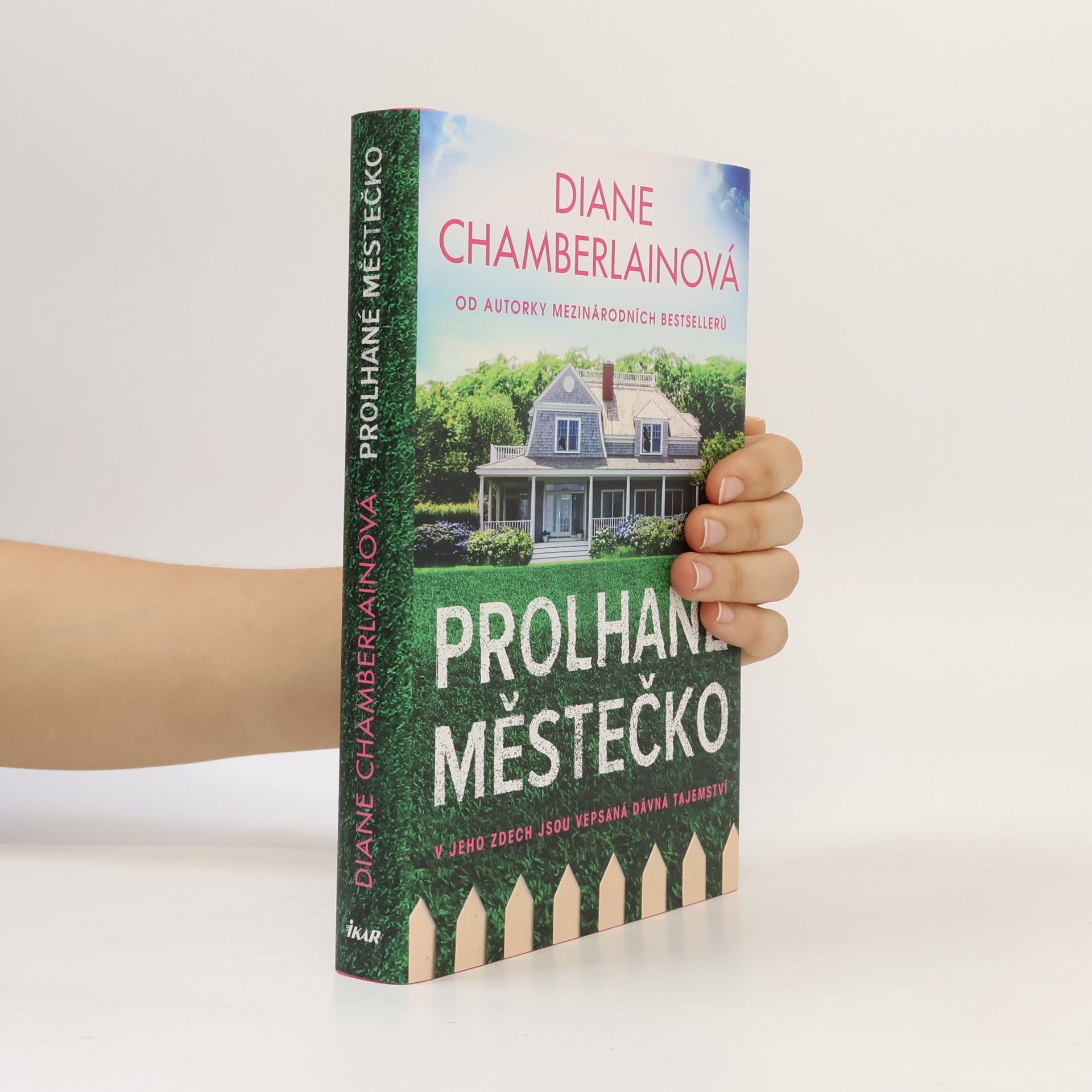 Diane Chamberlain Prolhané městečko