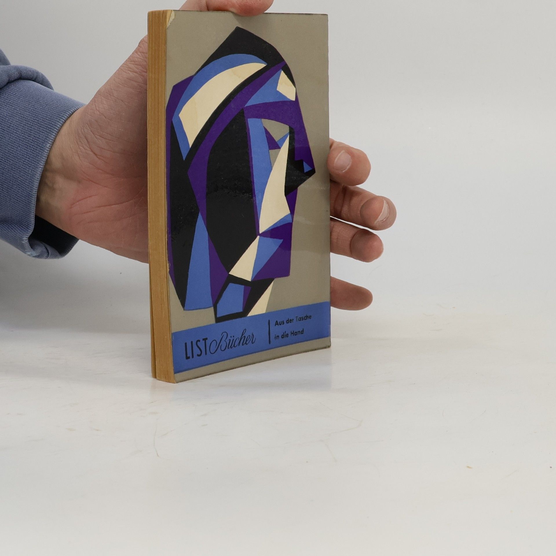 Fernande Olivier Neun Jahre mit Picasso