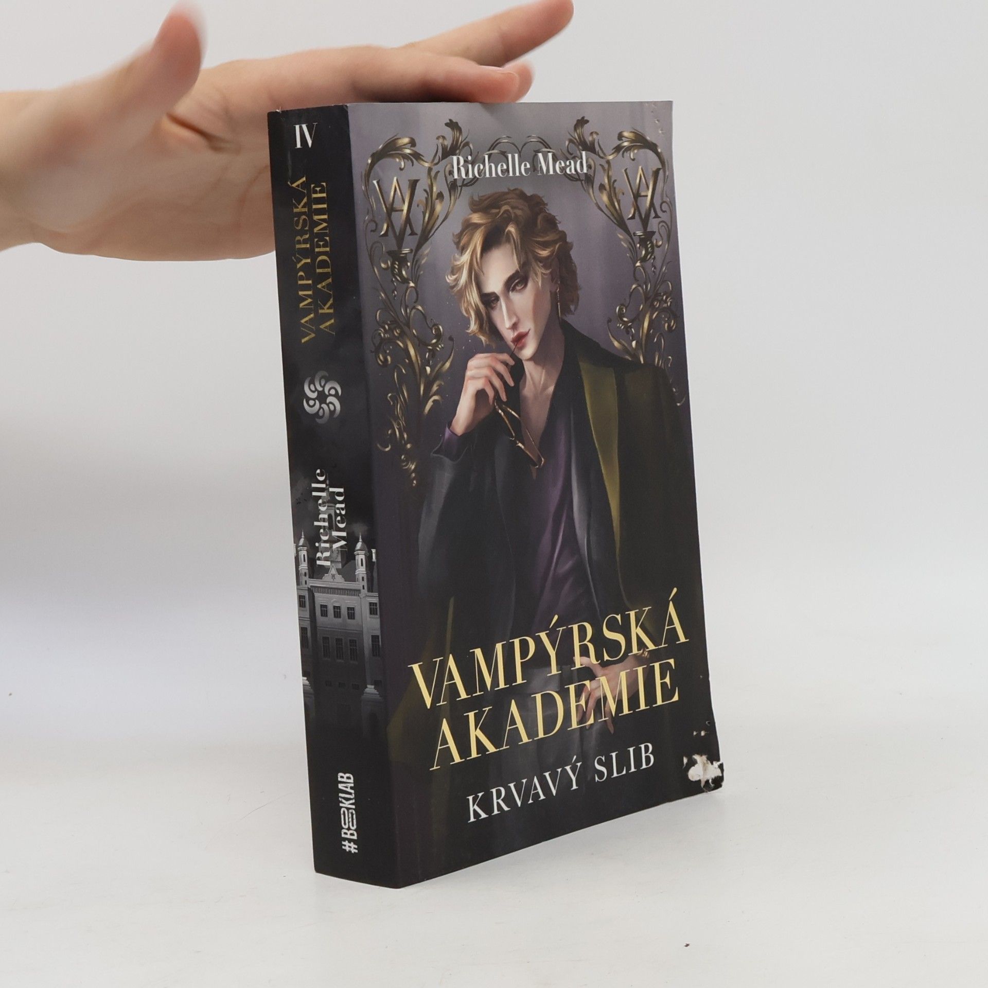 Richelle Mead Vampýrská akademie 4: Krvavý slib
