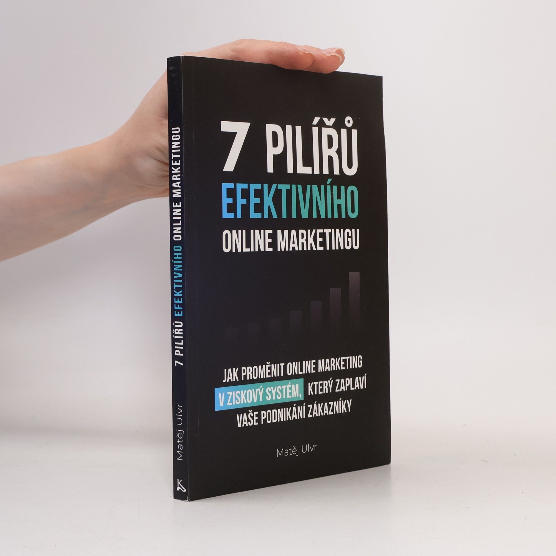 Matěj Ulvr 7 pilířů efektivního online marketingu