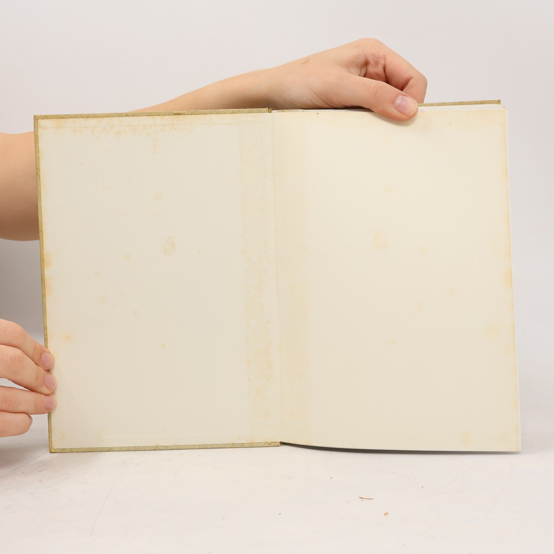Georg Hengstenberg Höchen. Ein Dorfbuch