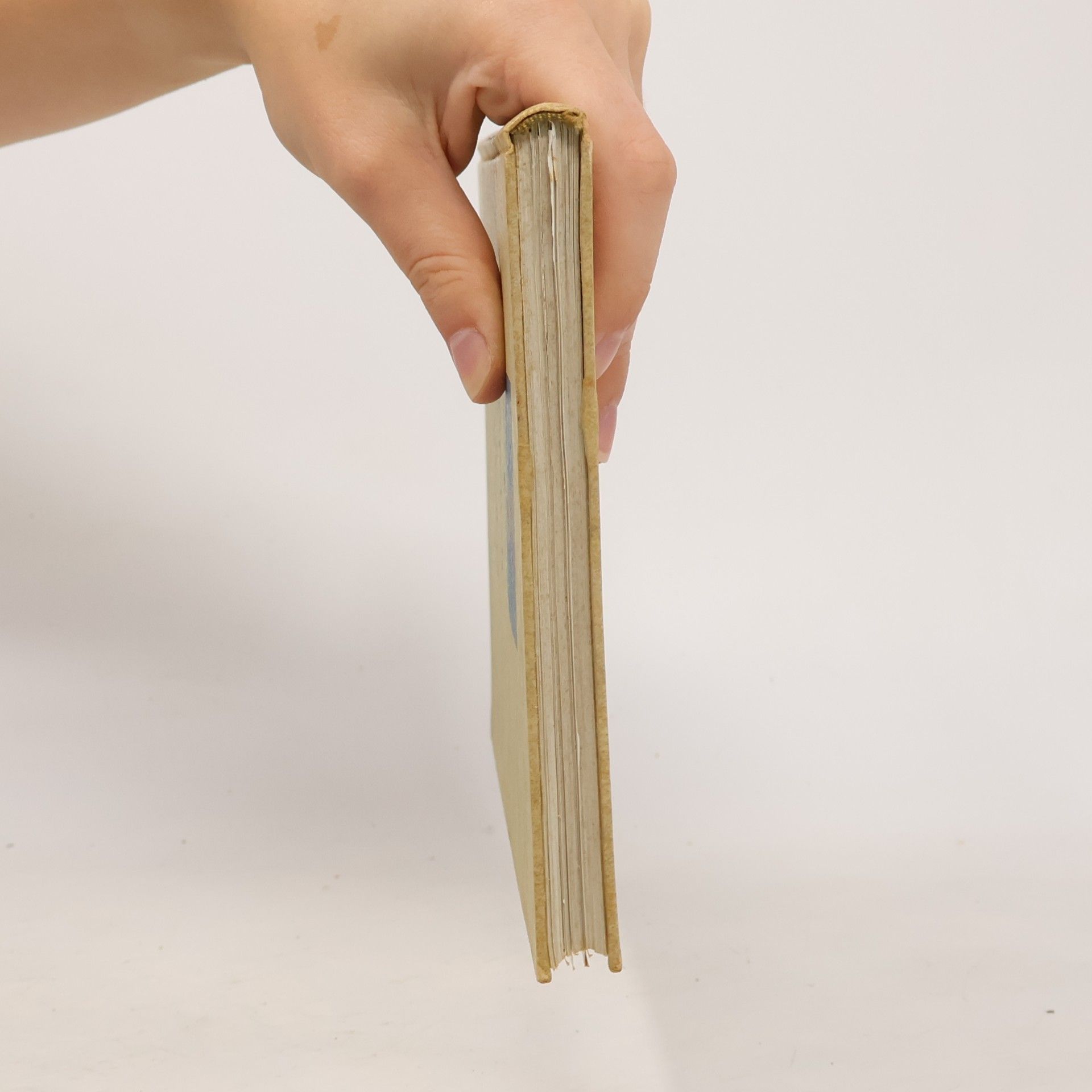 Georg Hengstenberg Höchen. Ein Dorfbuch