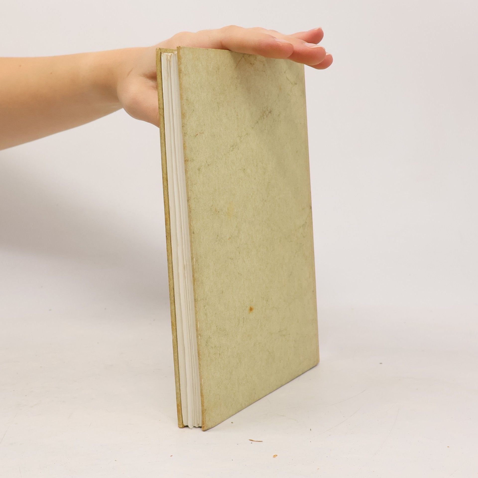 Georg Hengstenberg Höchen. Ein Dorfbuch