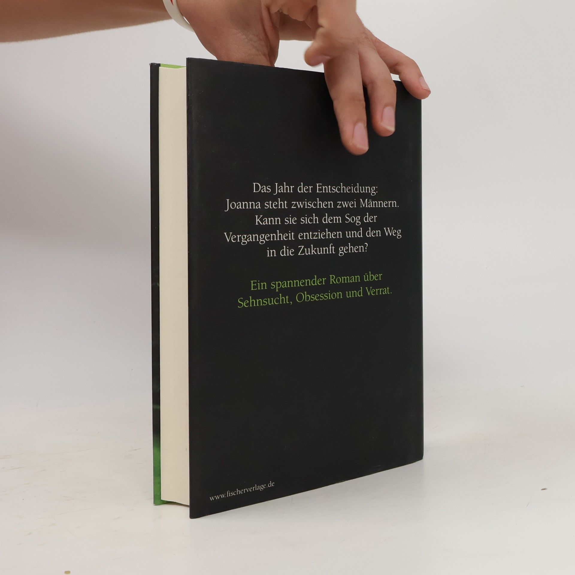 Lucie Whitehouse Als hätten wir alle Zeit der Welt