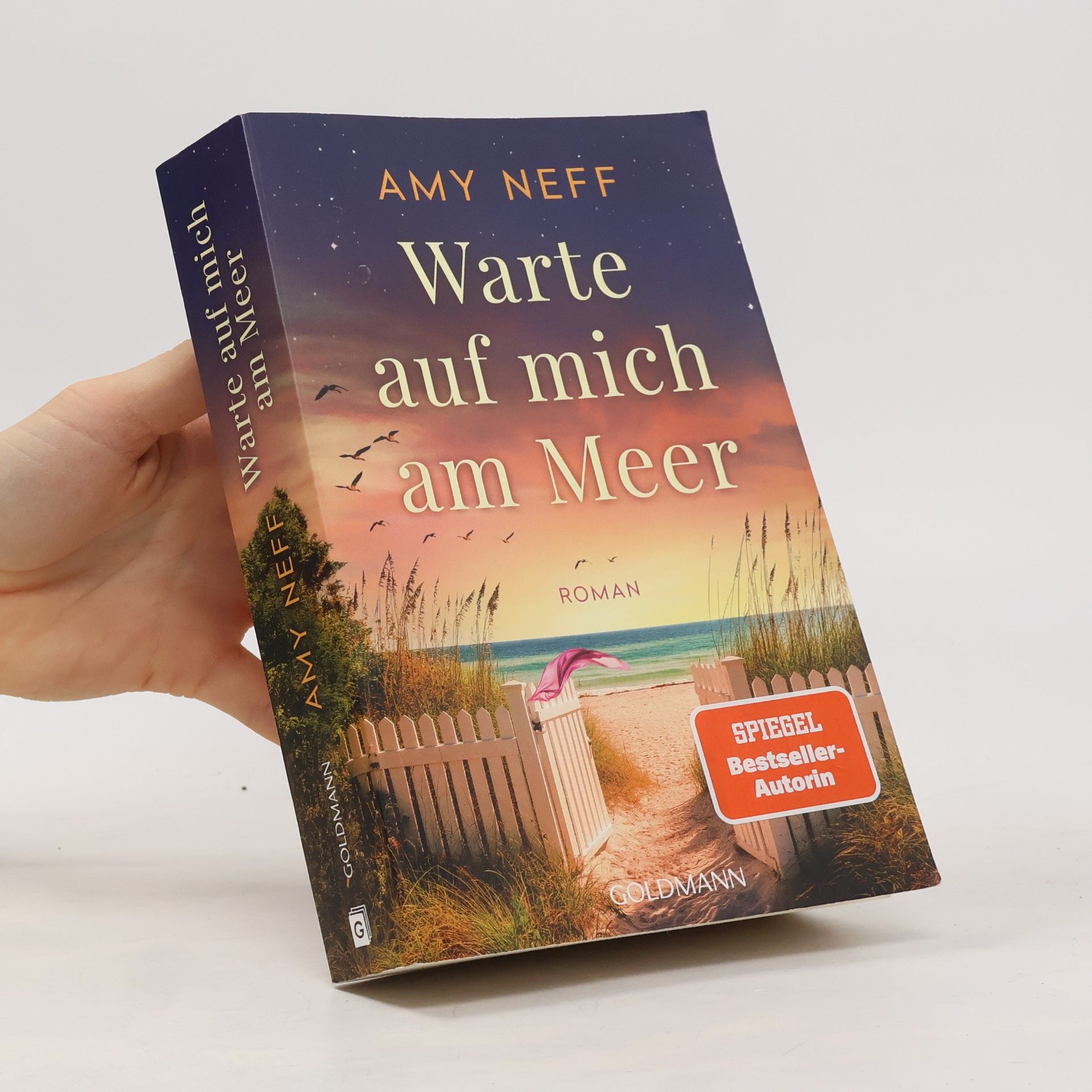 Amy Neff Warte auf mich am Meer