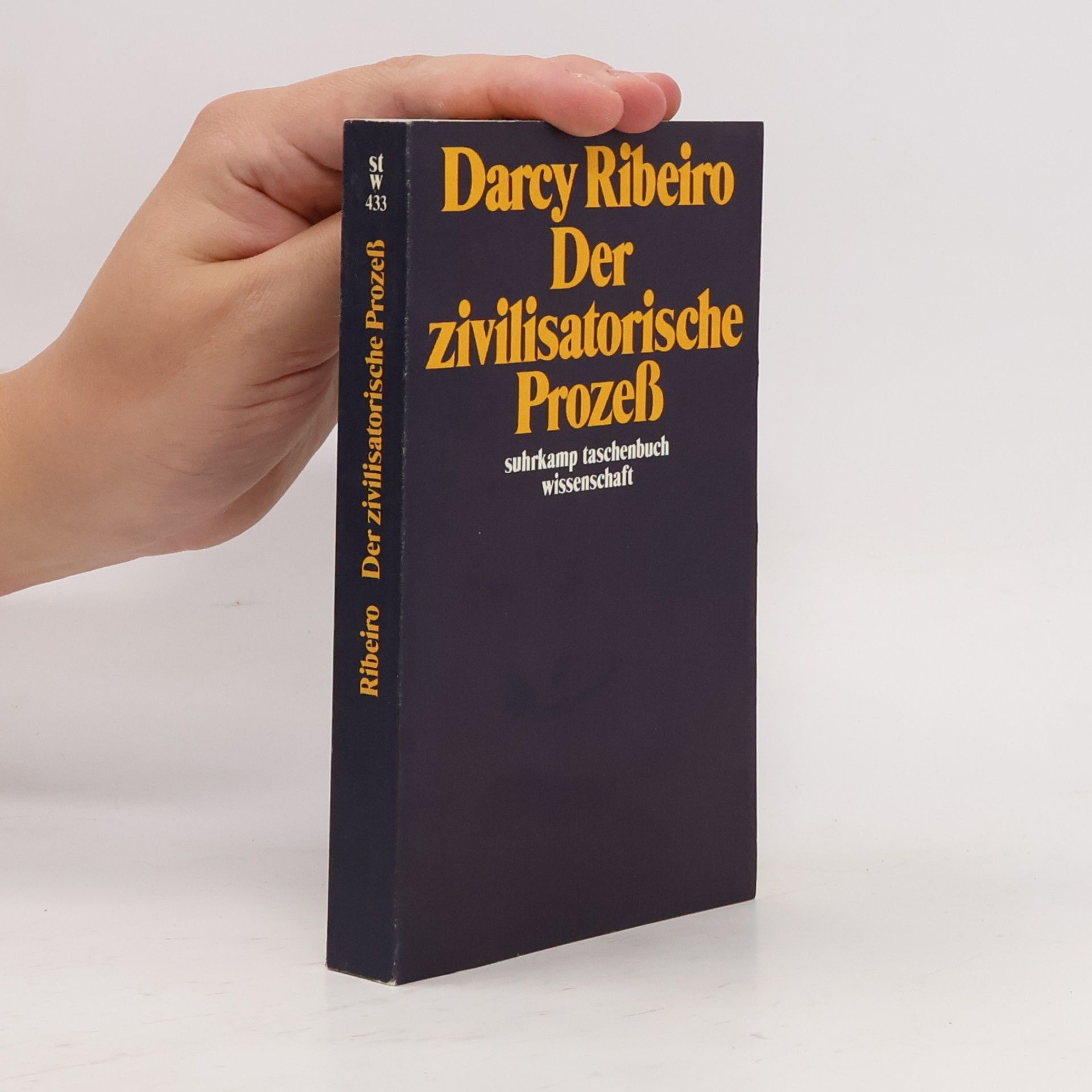 Heinz Rudolf Sonntag Suhrkamp Taschenbuch Wissenschaft - 433: Der zivilisatorische Prozess
