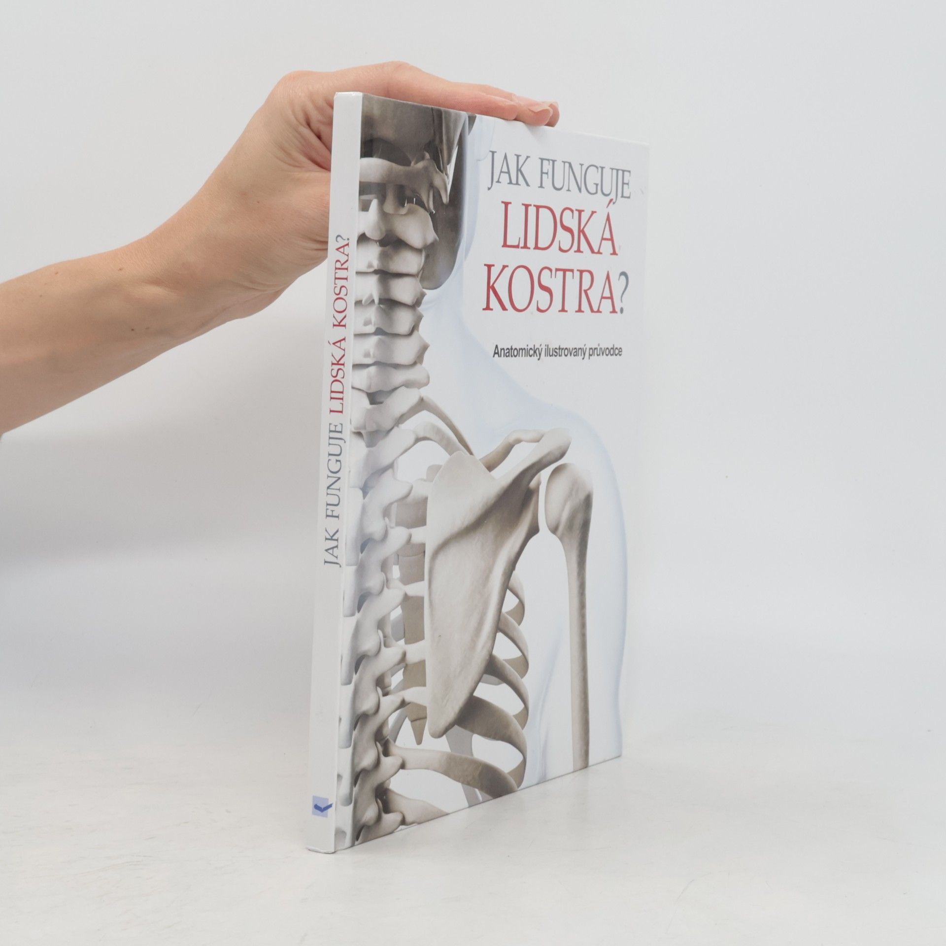 Jak funguje lidská kostra?