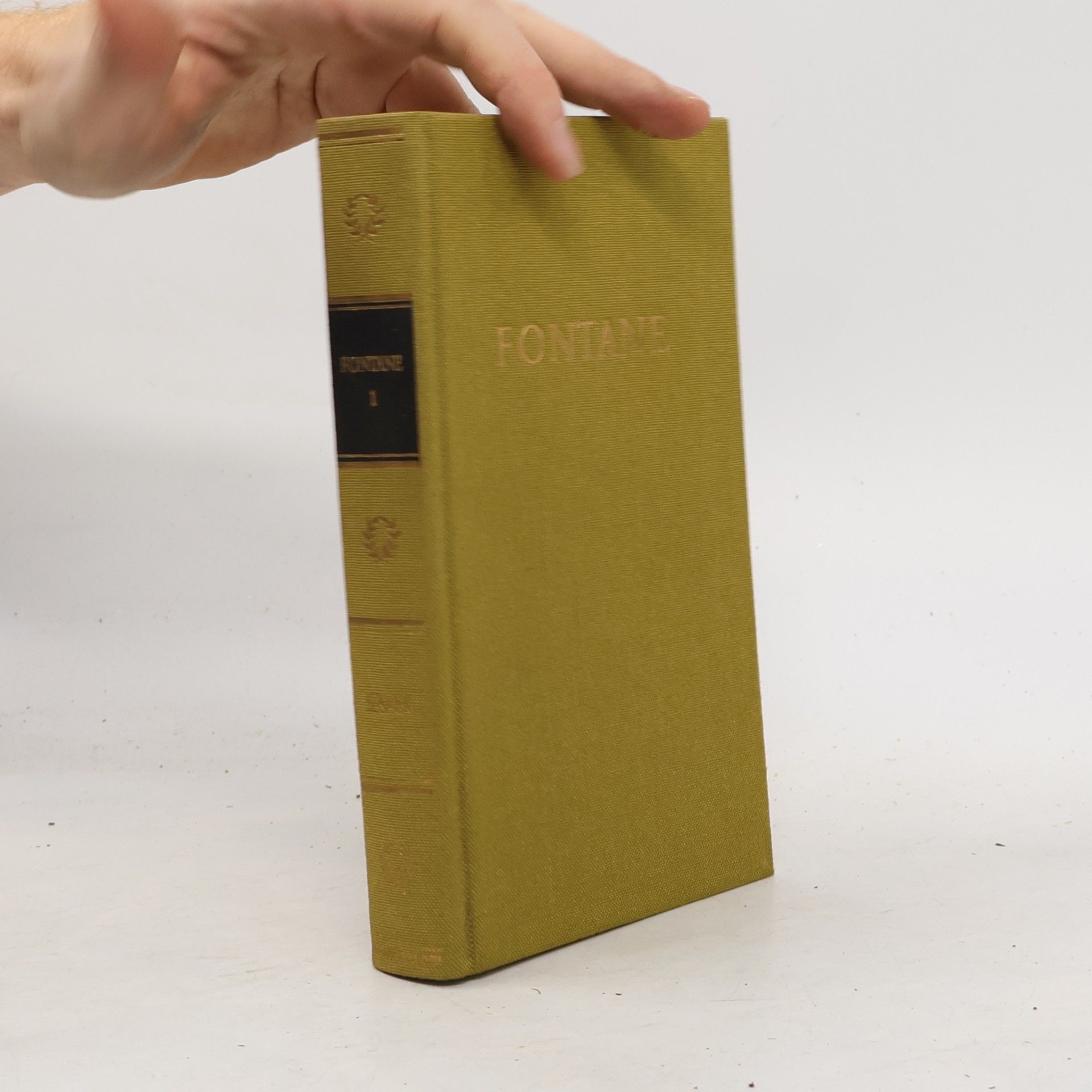 Theodor Fontane Fontane 1