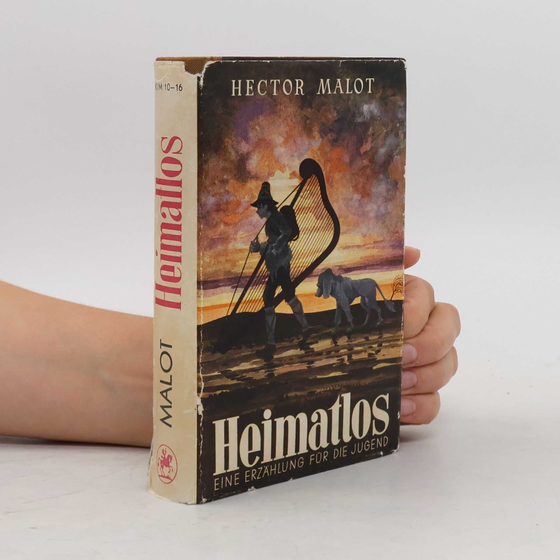 Hector Malot Heimatlos