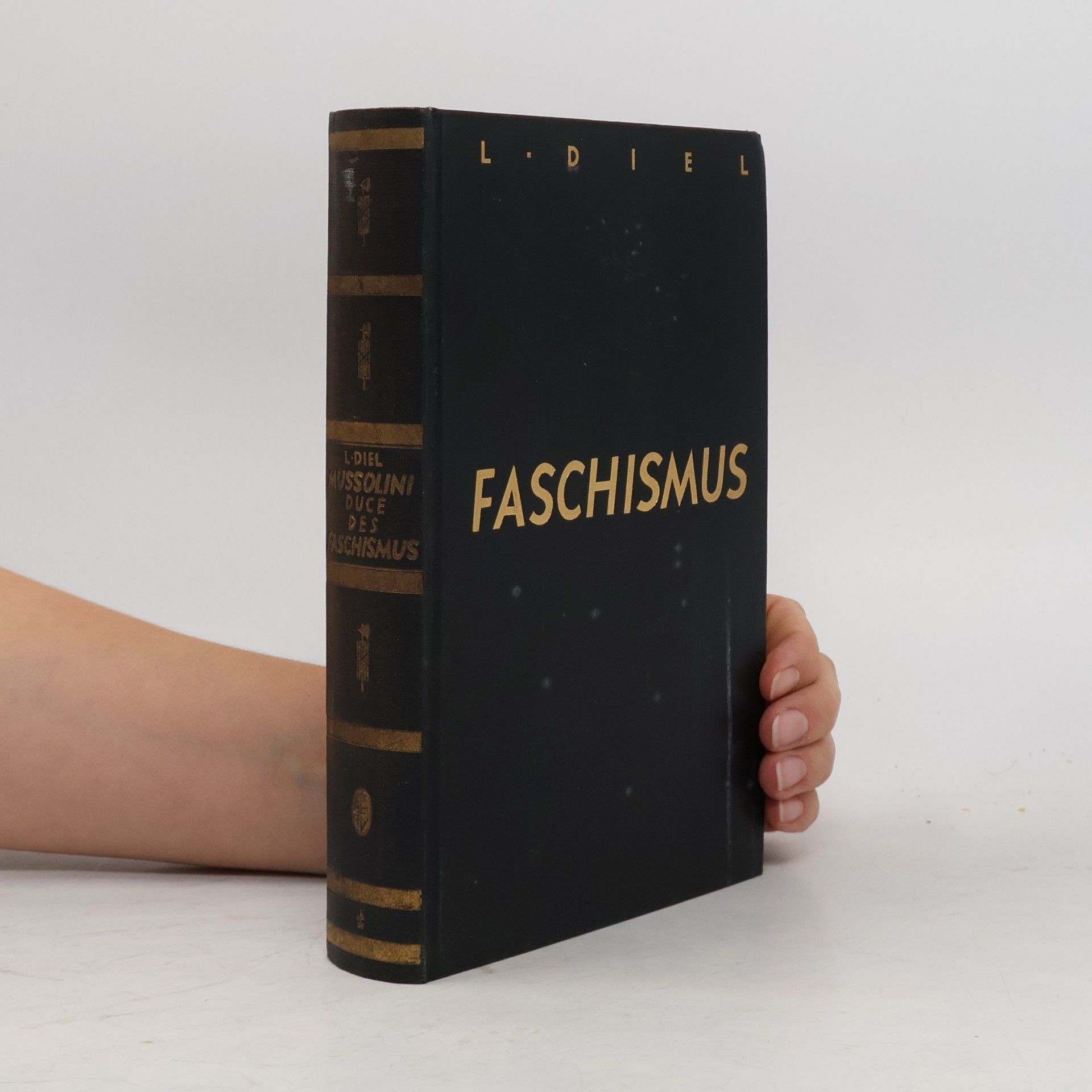 Mussolini, Duce des Faschismus