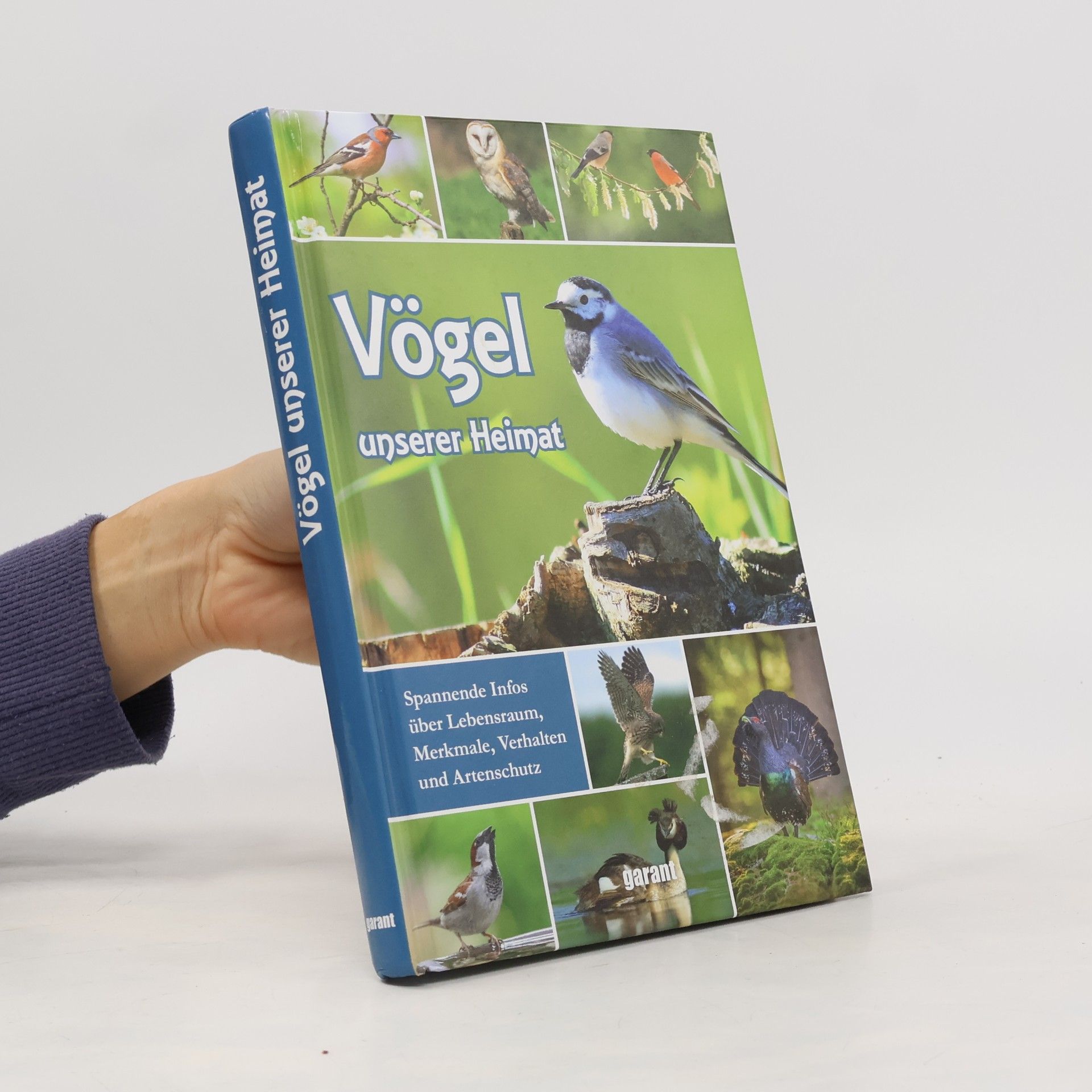 Autorenkollektiv Vögel unserer Heimat
