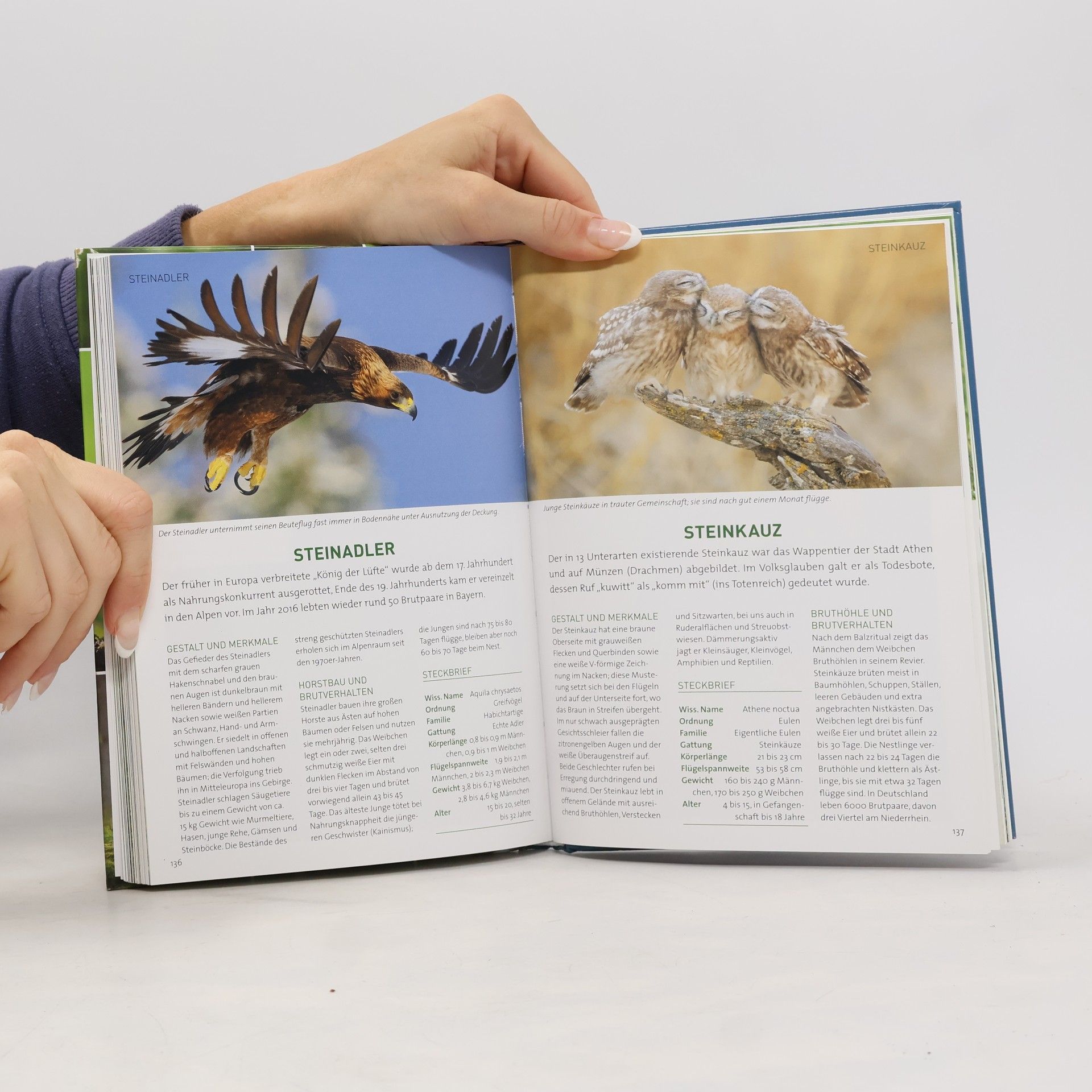 Autorenkollektiv Vögel unserer Heimat