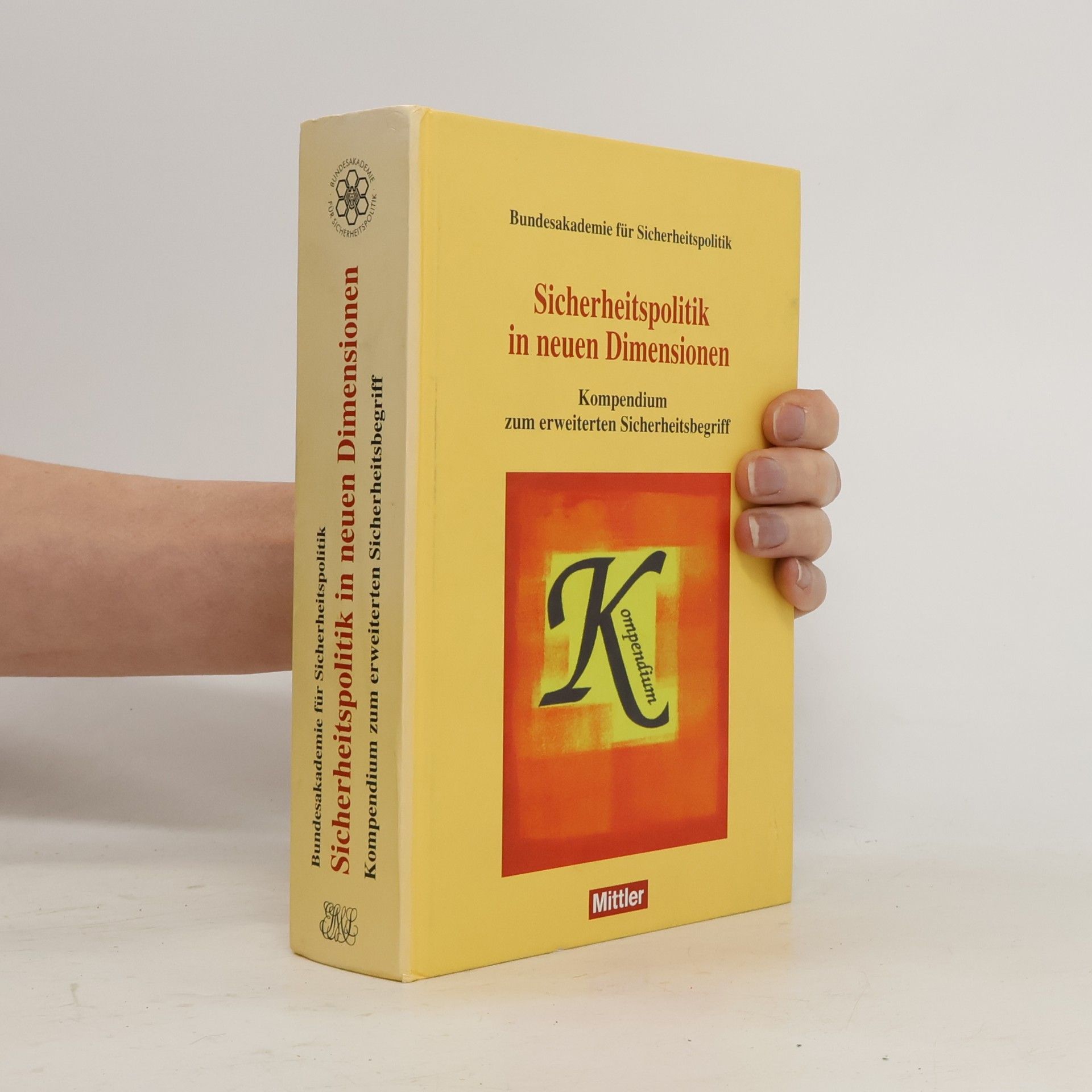 Kolektiv autorů Sicherheitspolitik in neuen Dimensionen