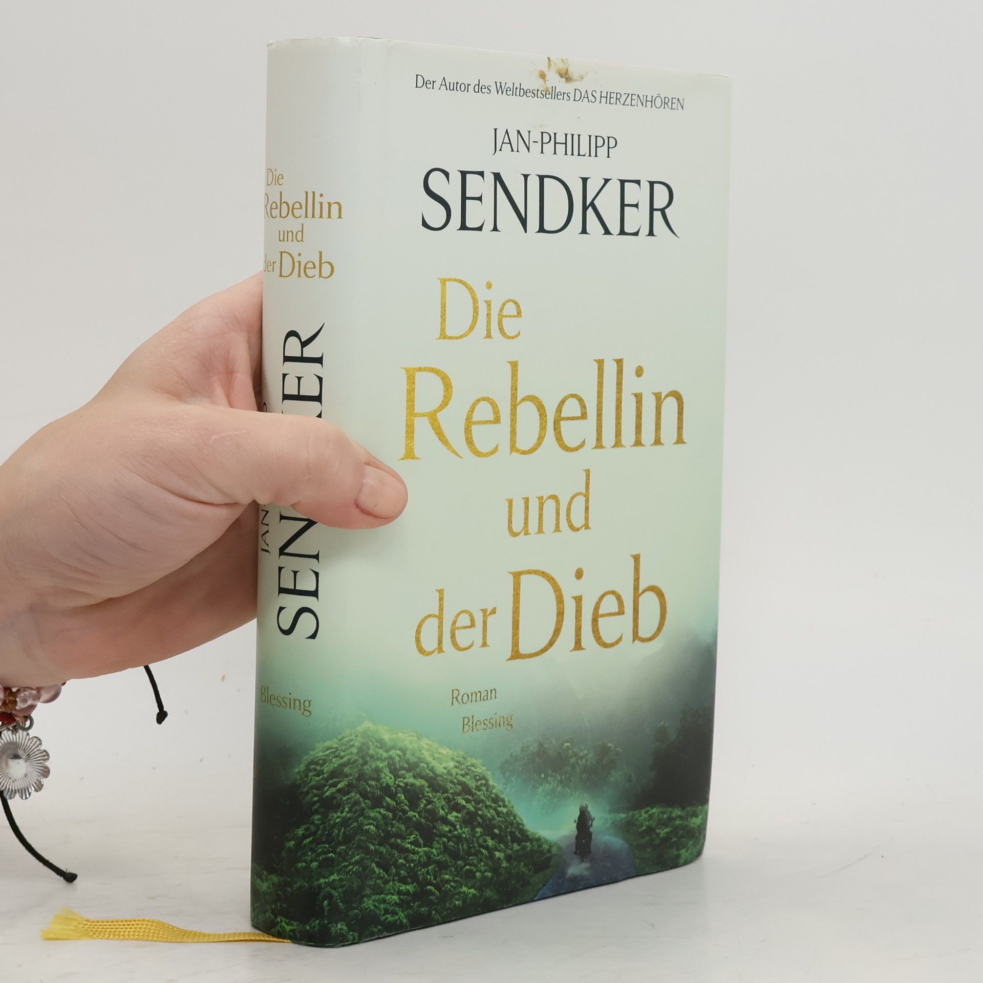 Jan-Philipp Sendker Die Rebellin und der Dieb
