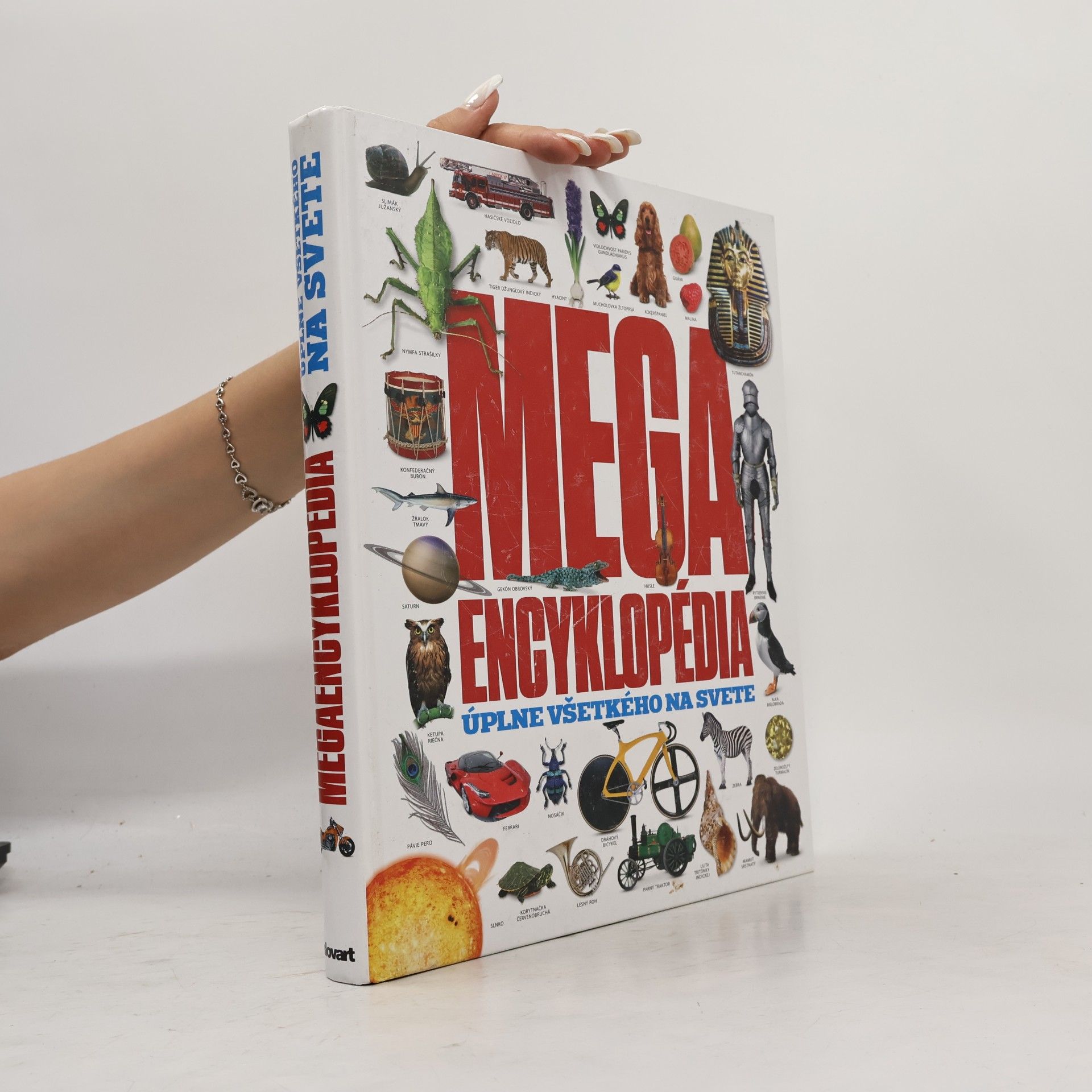 Autorenkollektiv Mega encyklopédia. Úplne všetkého na svete