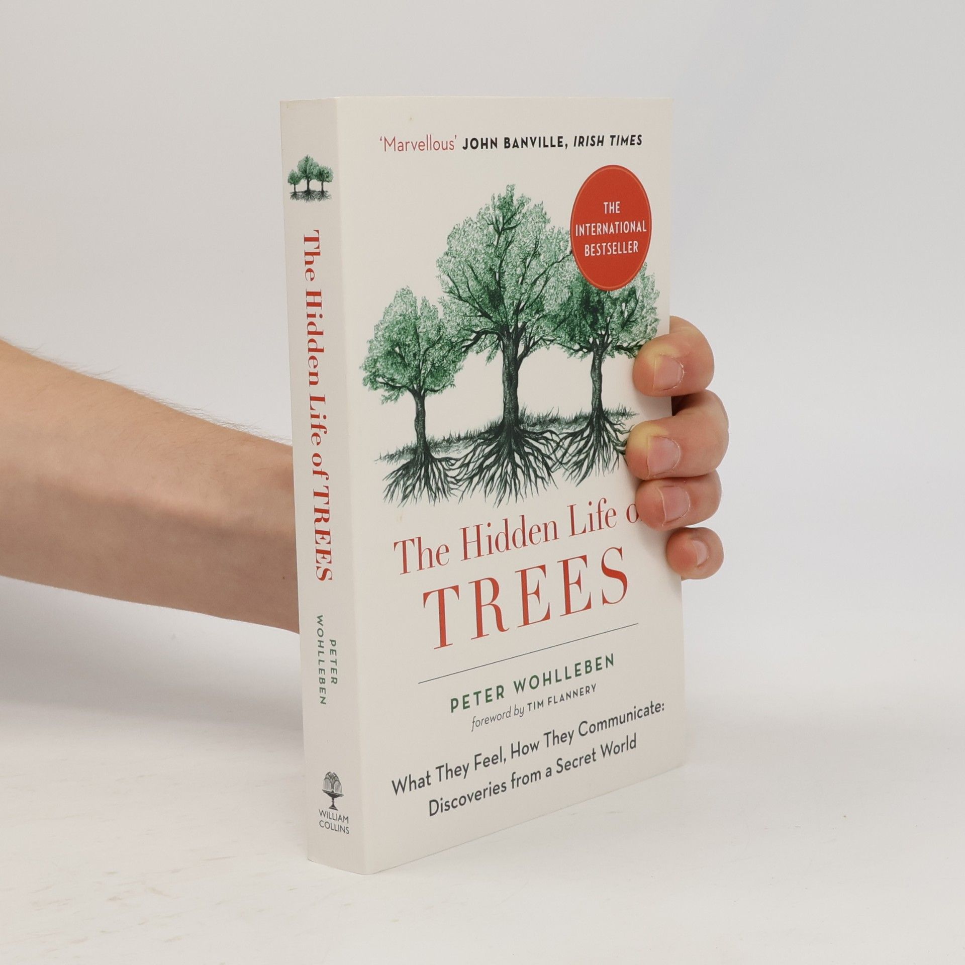 The hidden life of trees