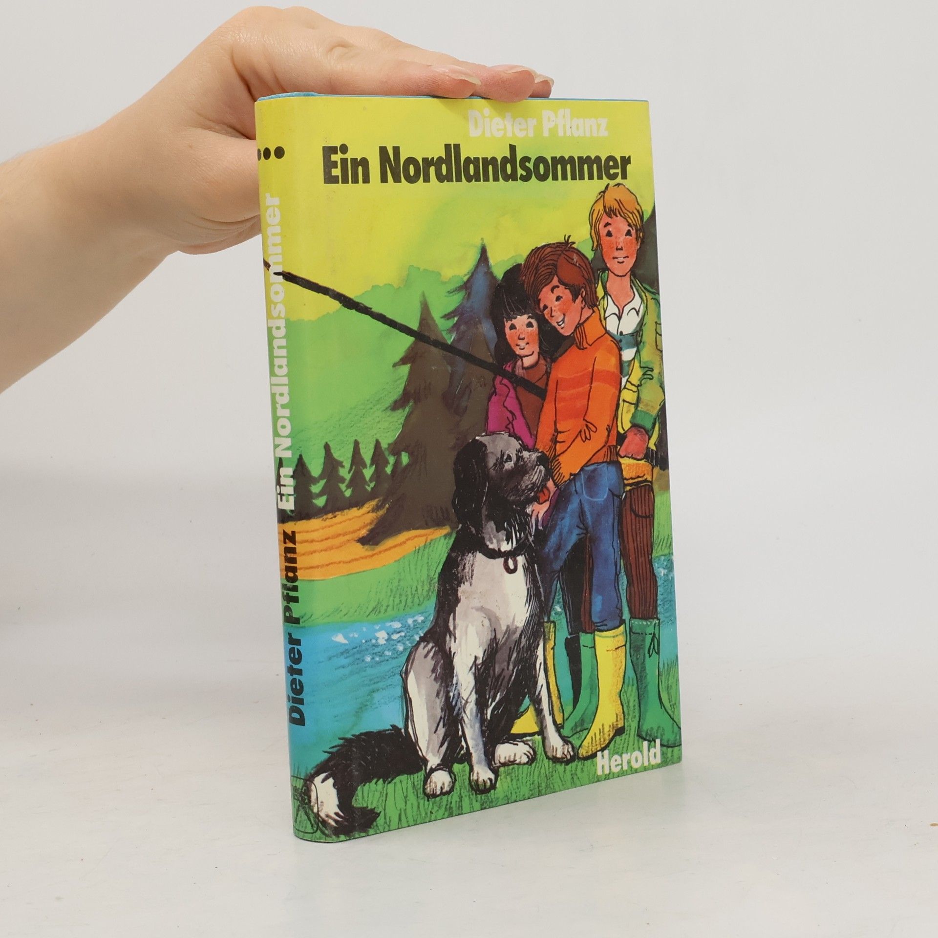Ein Nordlandsommer